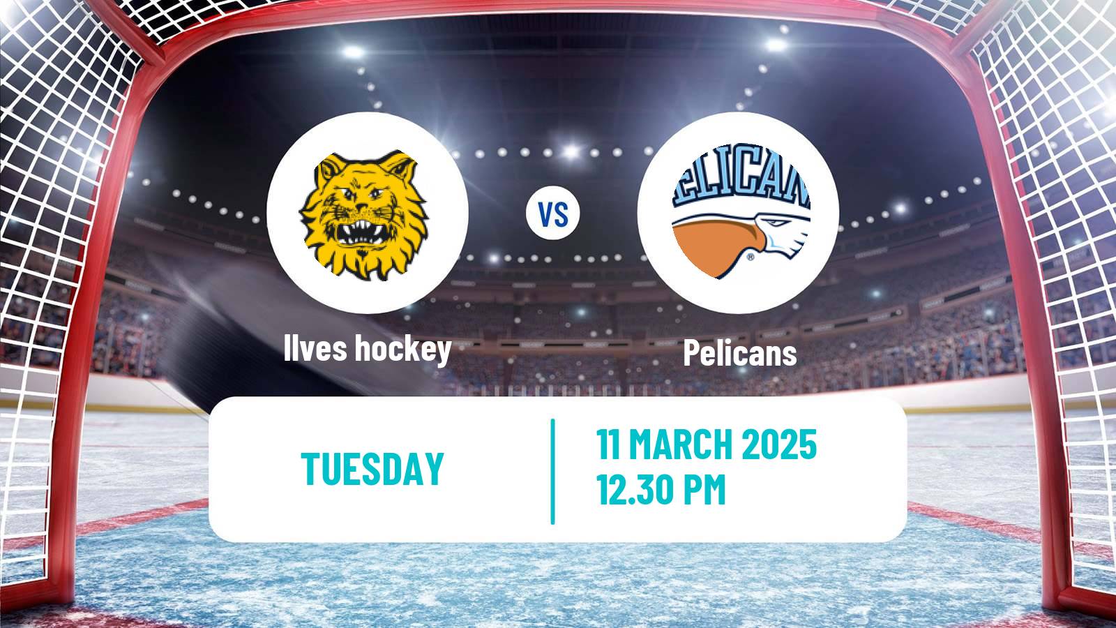 Hockey Finnish SM-liiga Ilves - Pelicans
