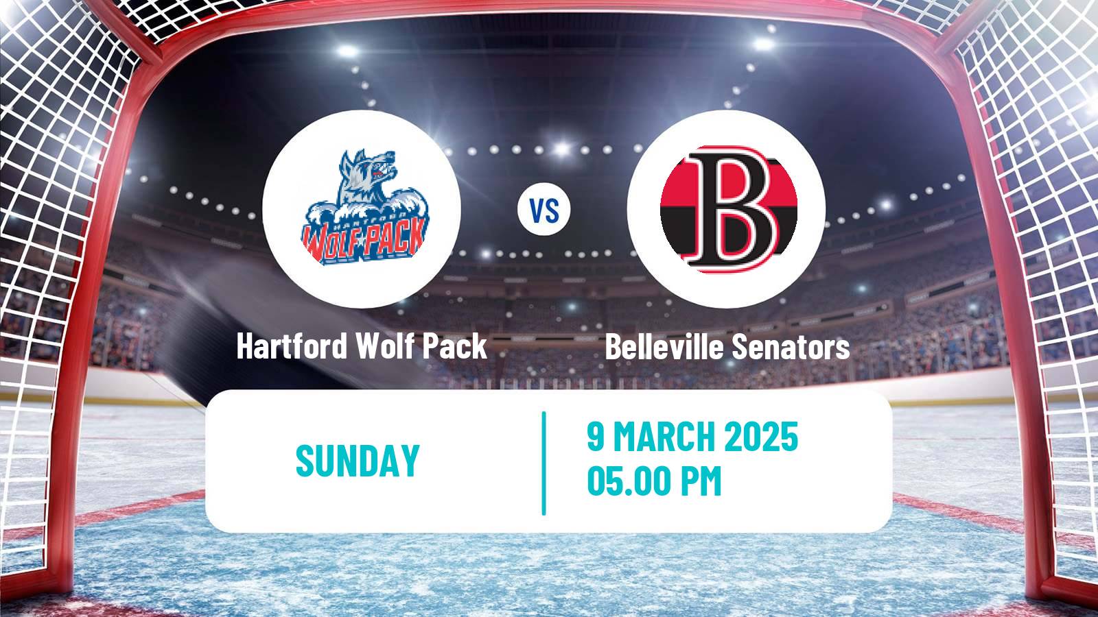 Hockey AHL Hartford Wolf Pack - Belleville Senators