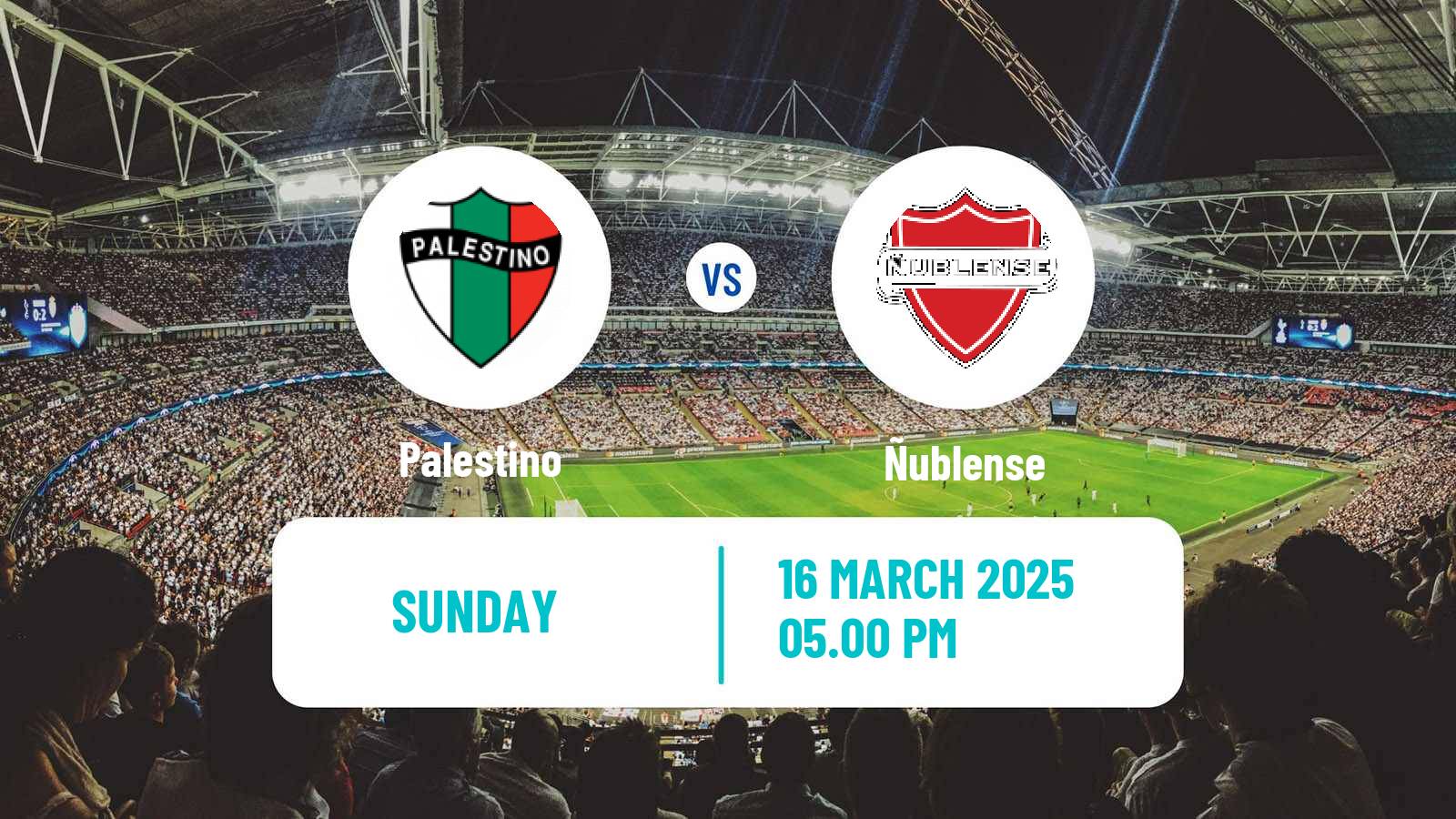 Soccer Chilean Primera Division Palestino - Ñublense