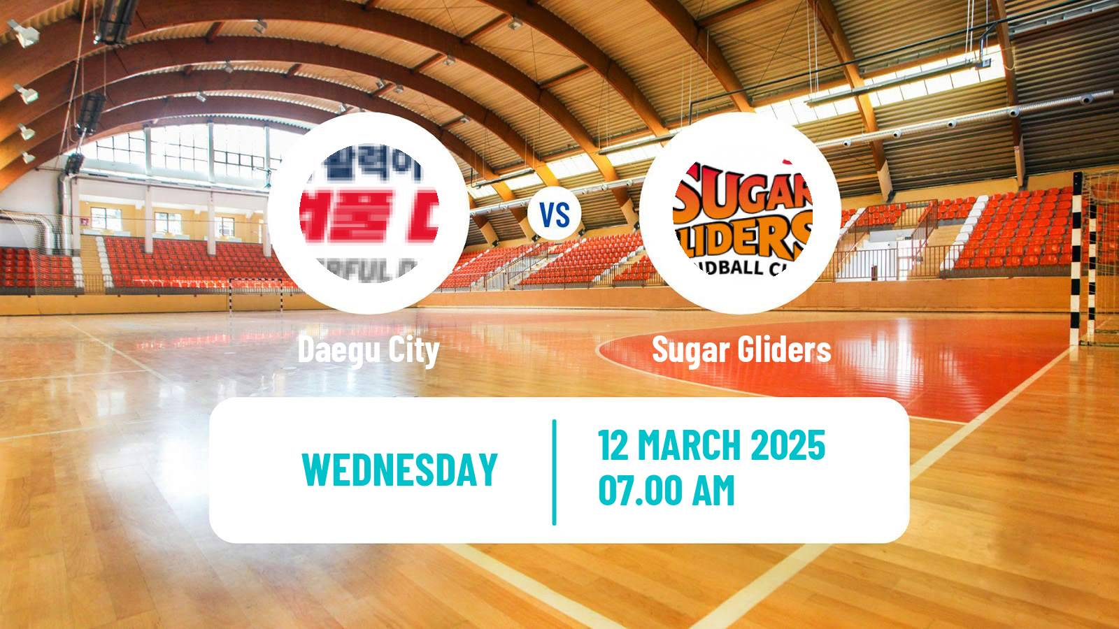 Handball South Korean 1st League Handball Women Daegu City - Sugar Gliders