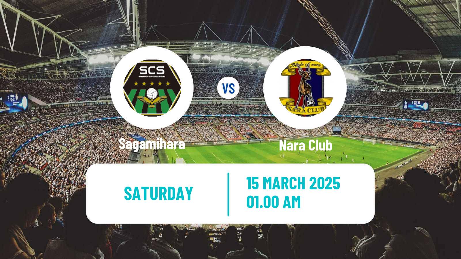 Soccer Japan J3 League Sagamihara - Nara Club
