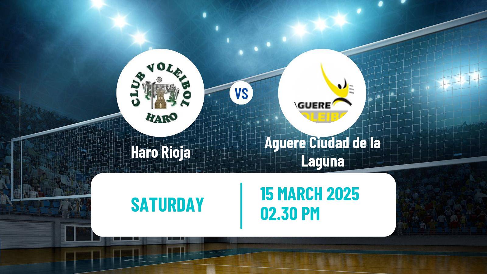 Volleyball Spanish SuperLiga Volleyball Women Haro Rioja - Aguere Ciudad de la Laguna