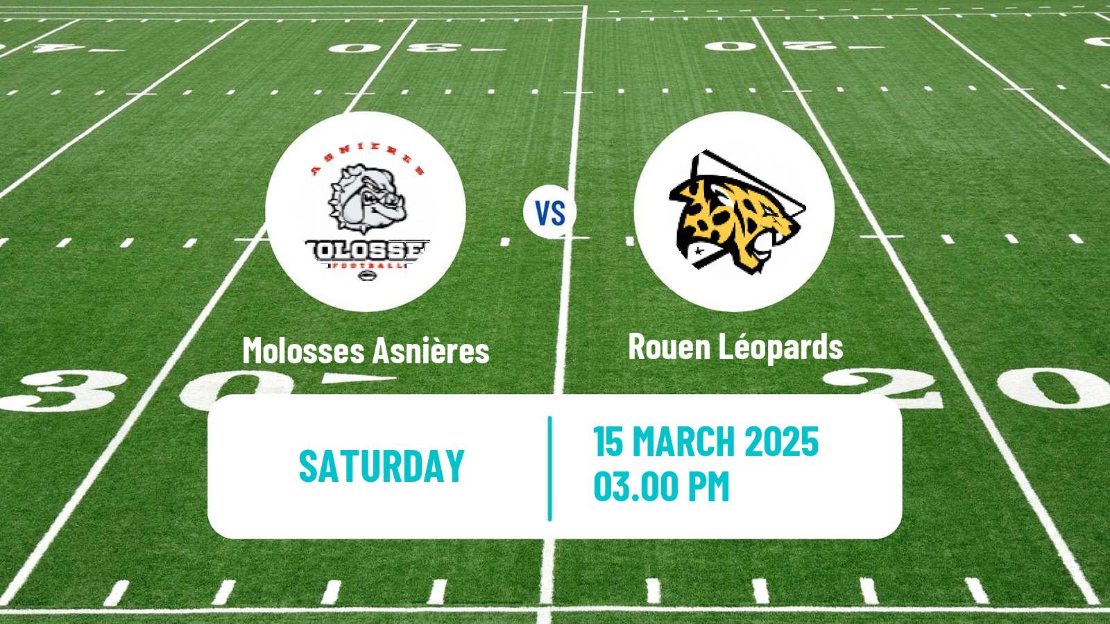 American football French Championnat Elite American Football Molosses Asnières - Rouen Léopards