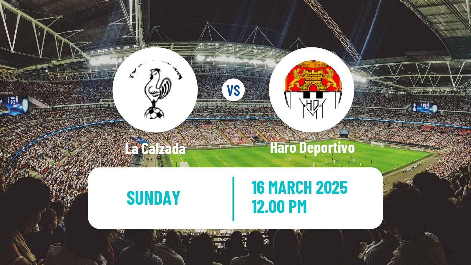 Soccer Spanish Tercera RFEF - Group 16 La Calzada - Haro Deportivo