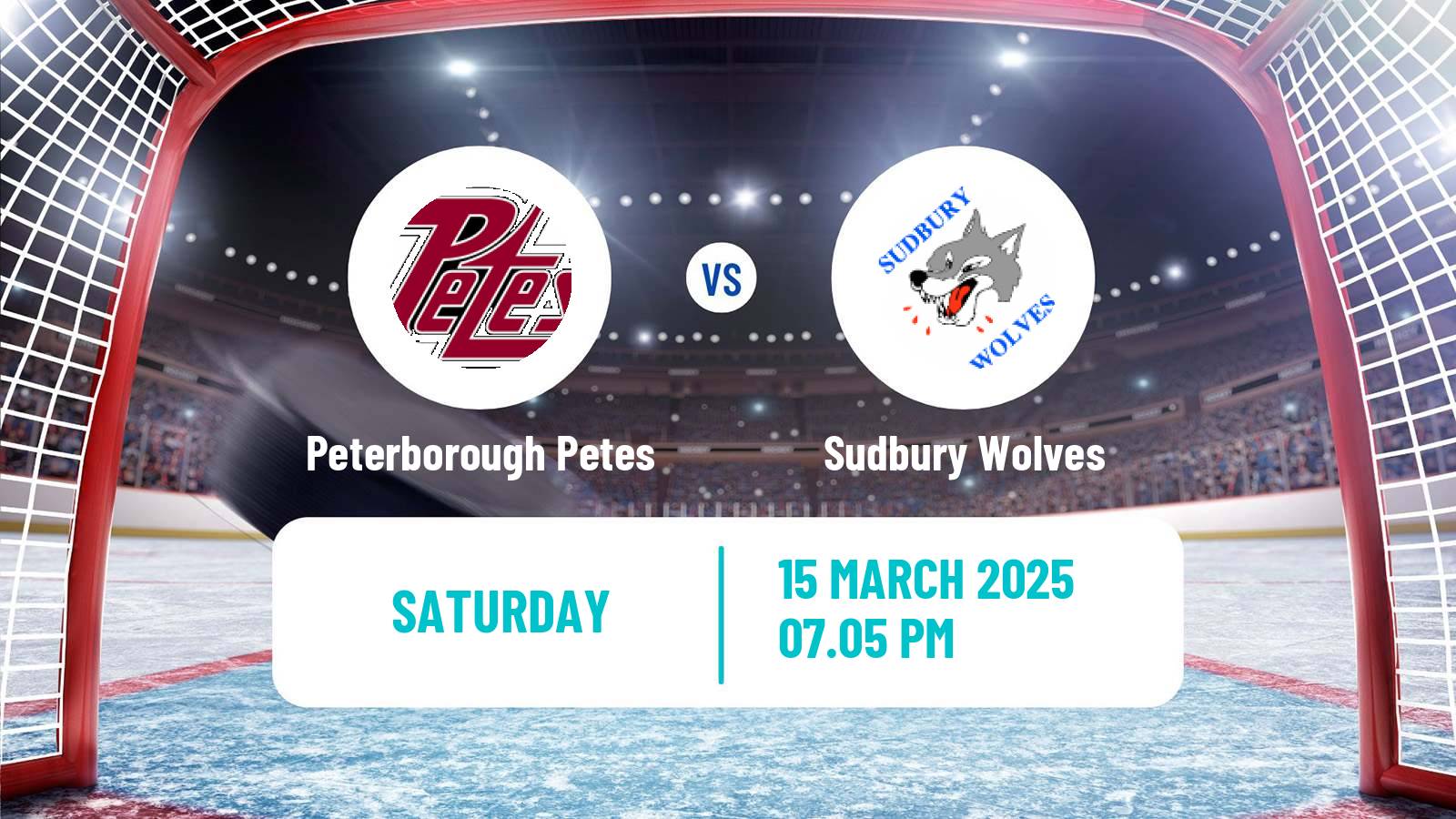 Hockey OHL Peterborough Petes - Sudbury Wolves