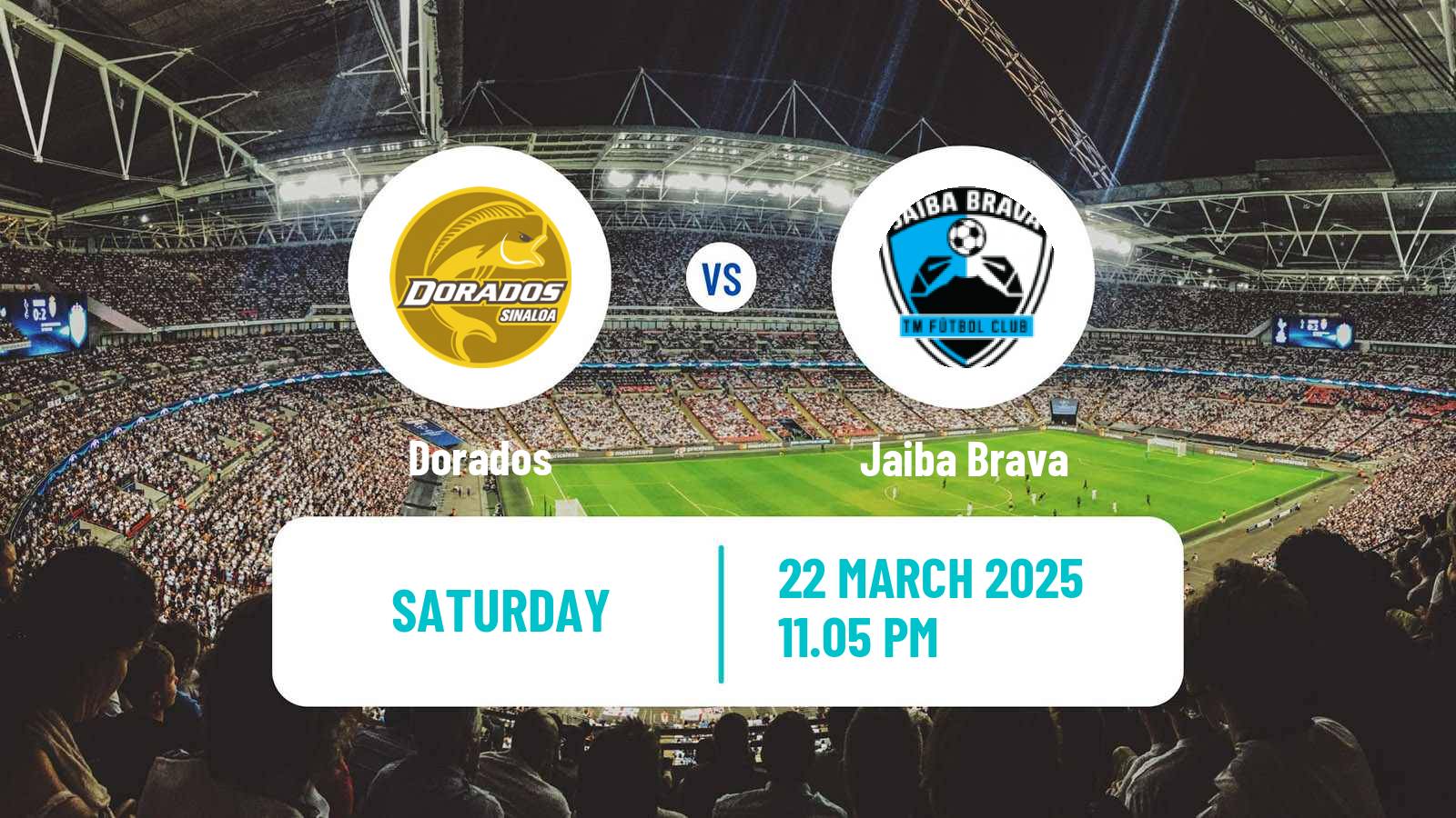 Soccer Mexican Liga de Expansion MX Dorados - Jaiba Brava