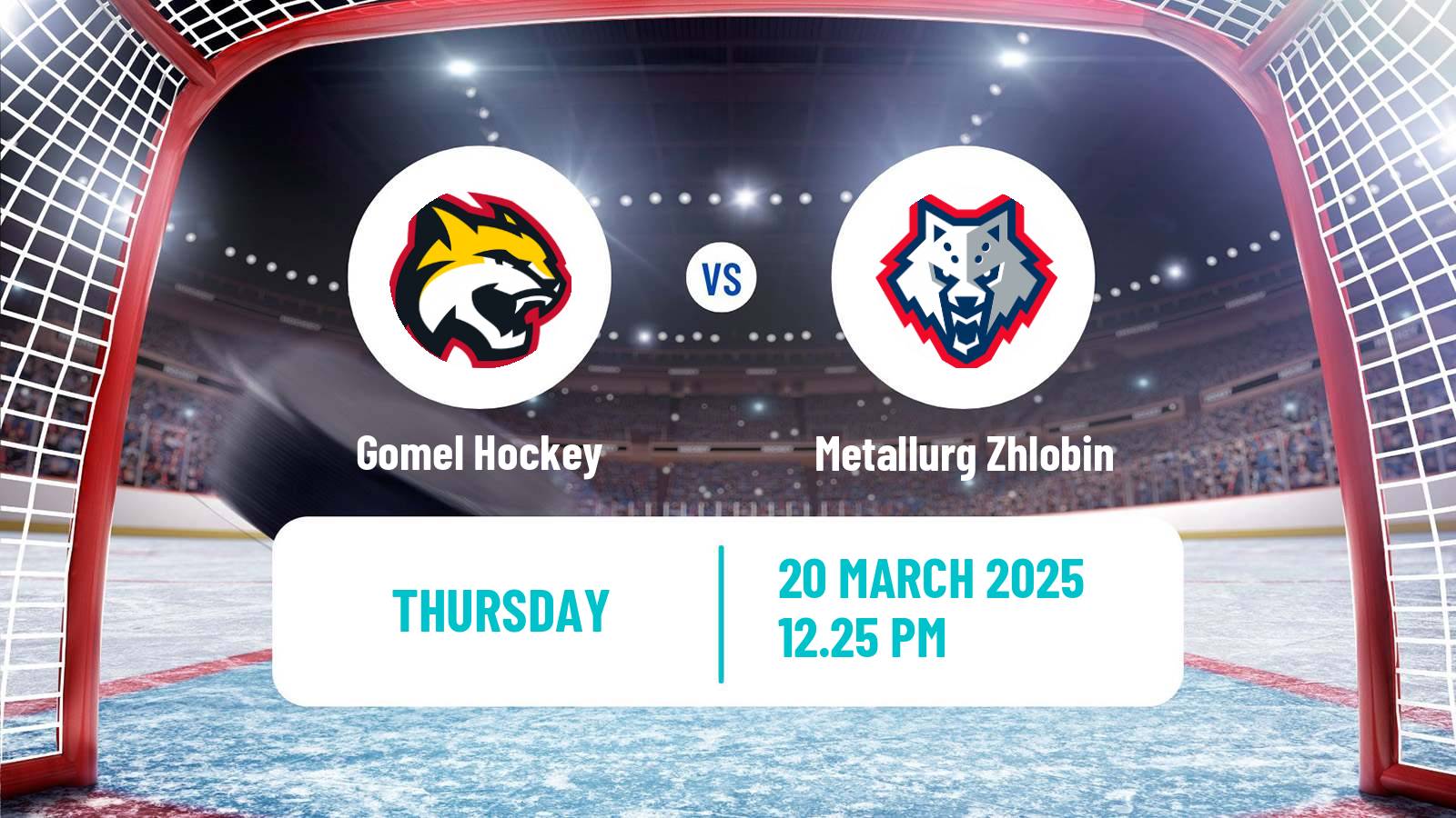 Hockey Belarusian Extraleague Gomel - Metallurg Zhlobin