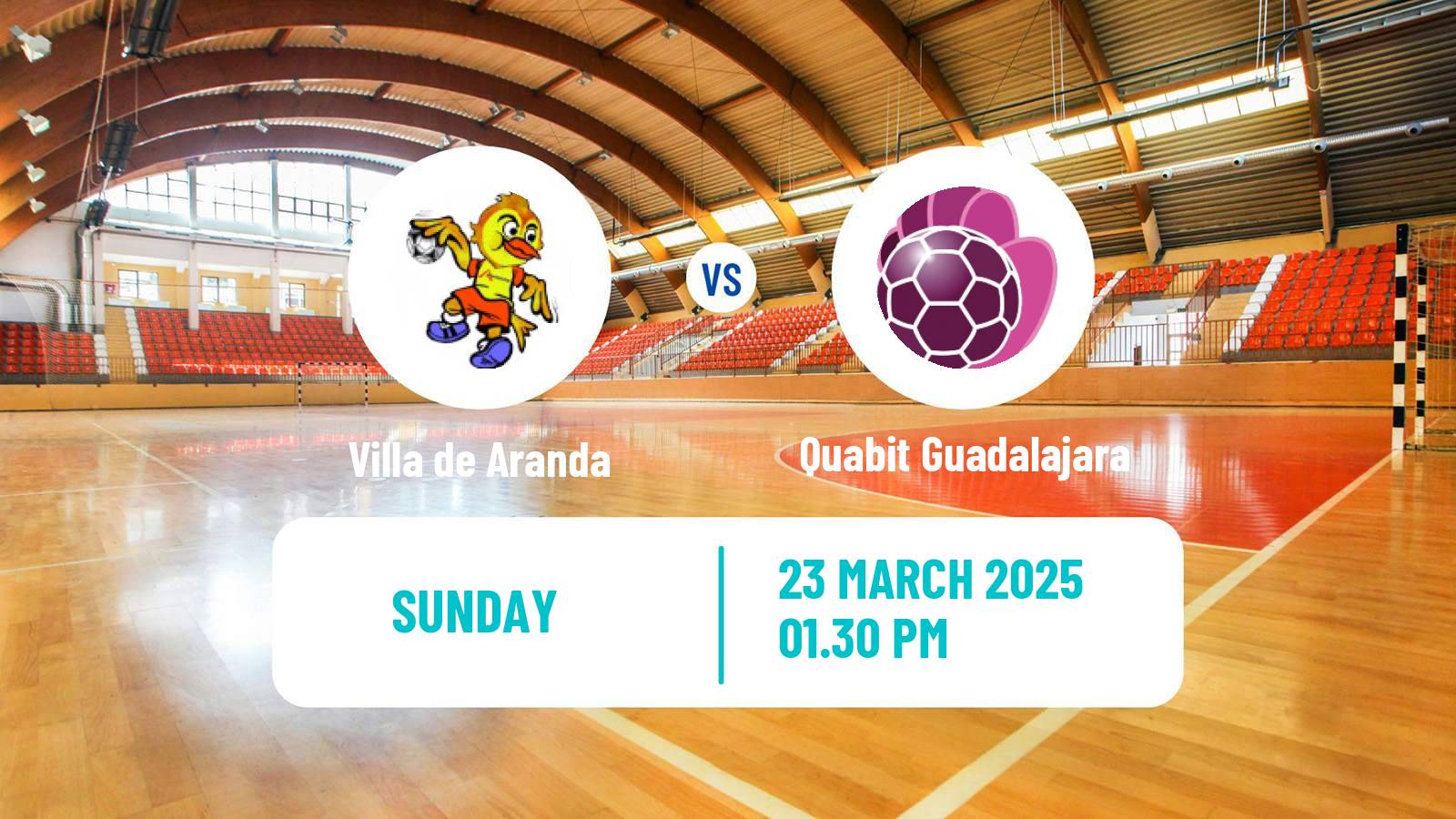 Handball Spanish Liga ASOBAL Villa de Aranda - Quabit Guadalajara
