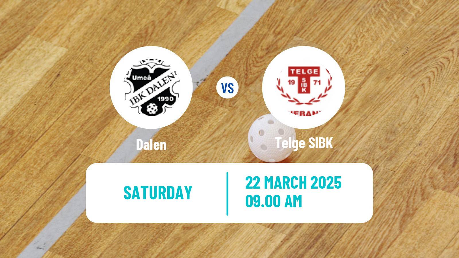 Floorball Swedish Superligan Floorball Women Dalen - Telge