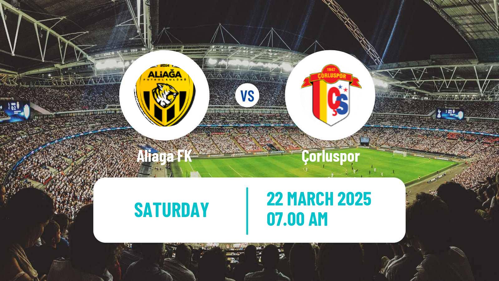 Soccer Turkish 3 Lig Group 3 Aliaga - Çorluspor