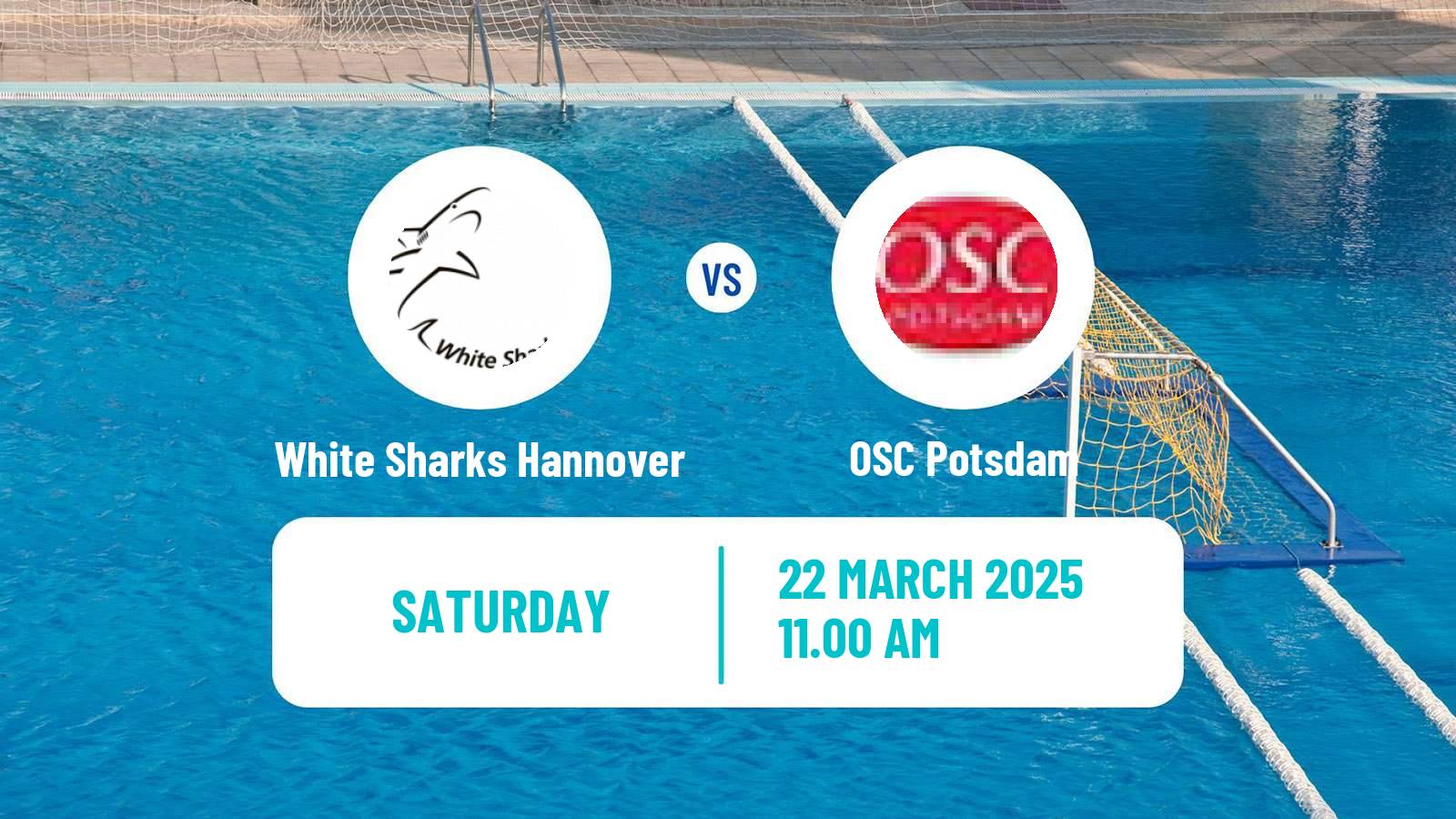Water polo German Pro A Water Polo White Sharks Hannover - Potsdam