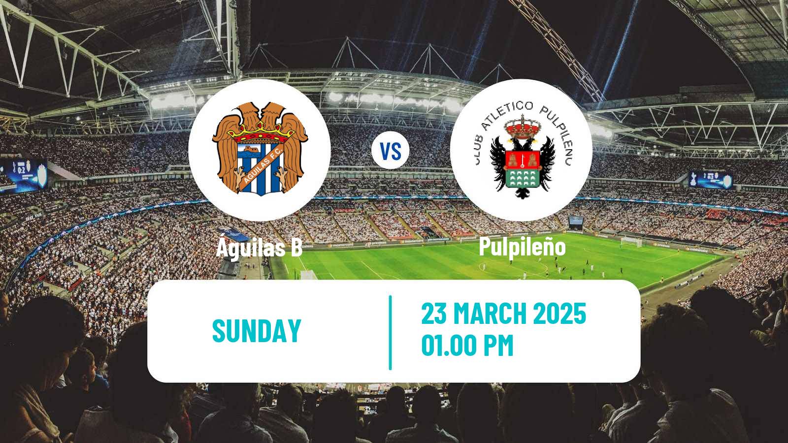 Soccer Spanish Tercera RFEF - Group 13 Águilas B - Pulpileño
