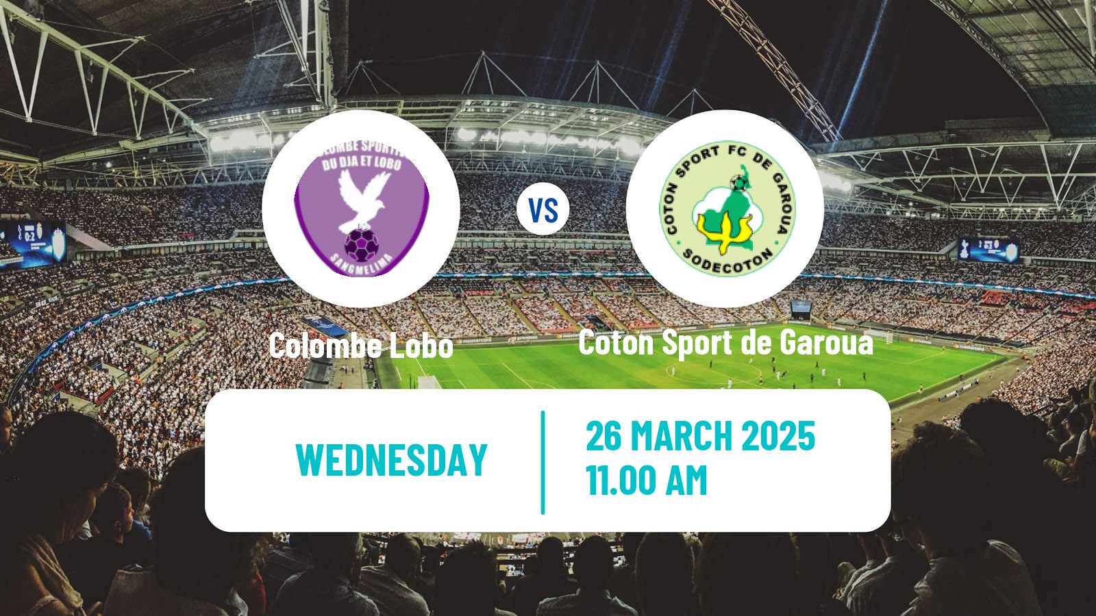 Soccer Cameroon Elite One Colombe Lobo - Coton Sport de Garoua