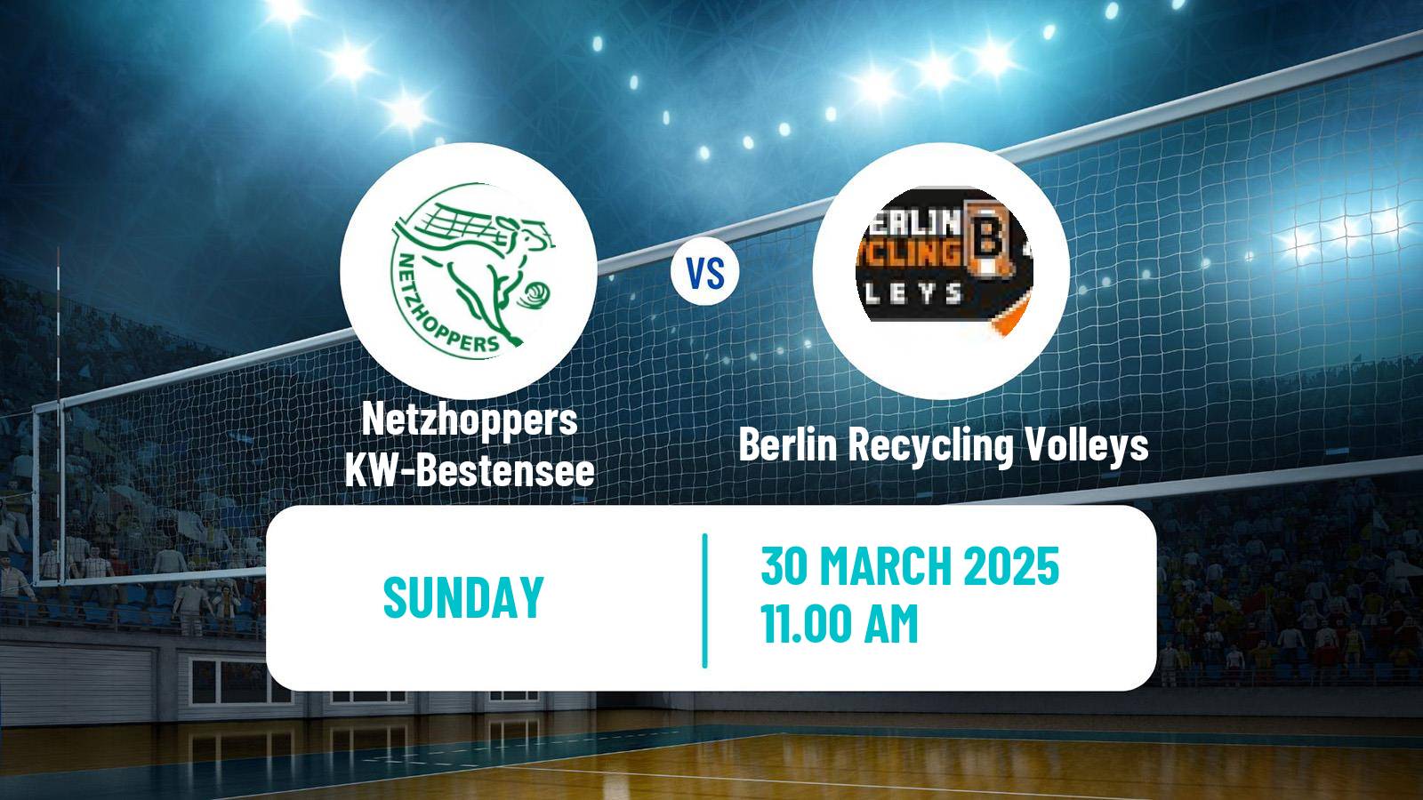 Volleyball German Bundesliga Volleyball Netzhoppers KW-Bestensee - Berlin Recycling Volleys