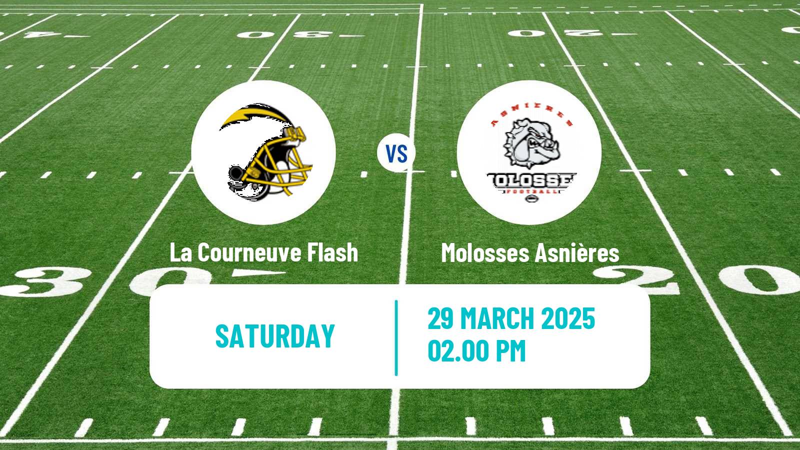 American football French Championnat Elite American Football La Courneuve Flash - Molosses Asnières