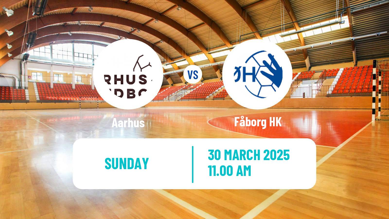 Handball Danish 1 Division Handball Aarhus - Fåborg