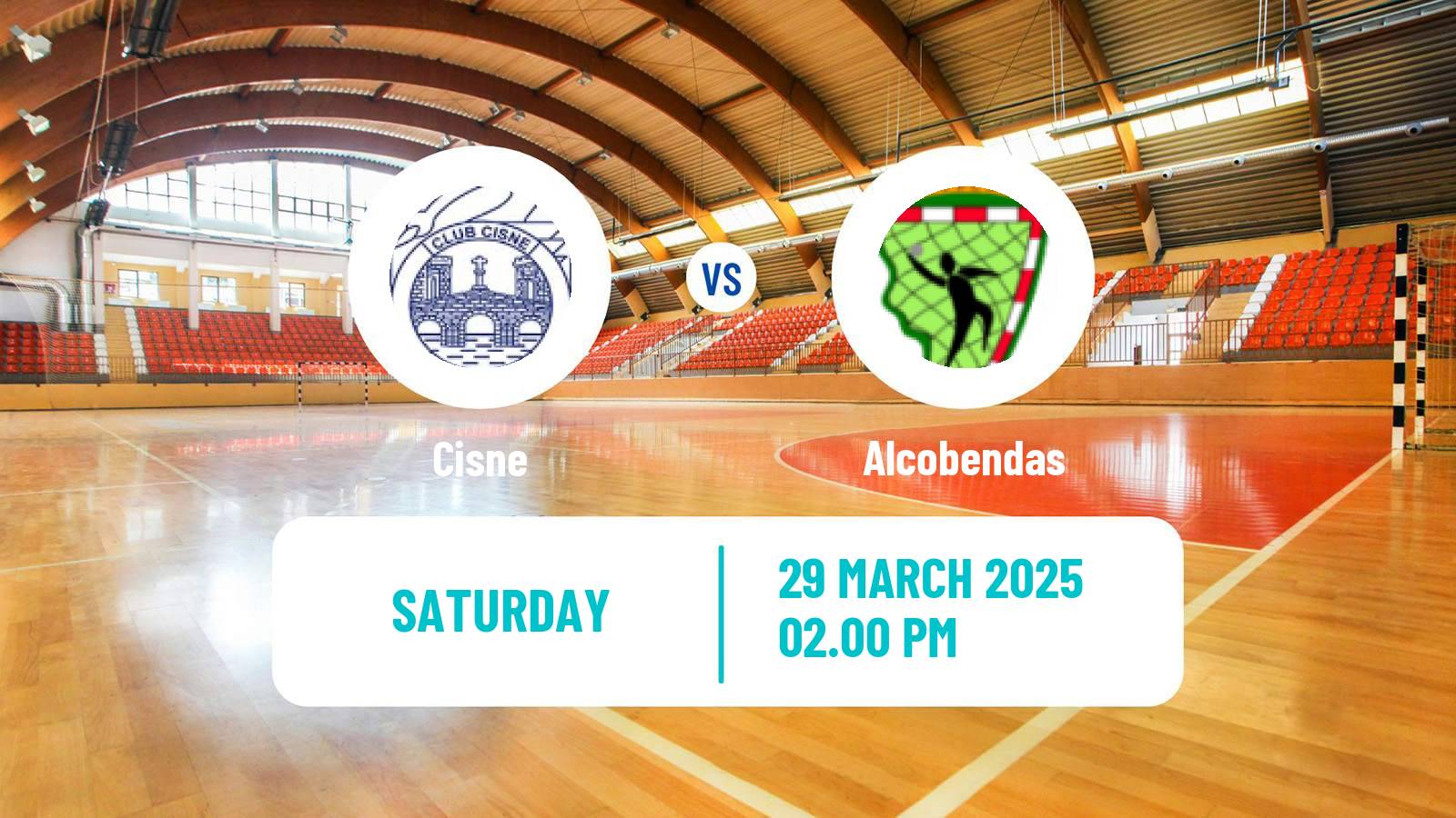 Handball Spanish Division de Honor Plata Handball Cisne - Alcobendas