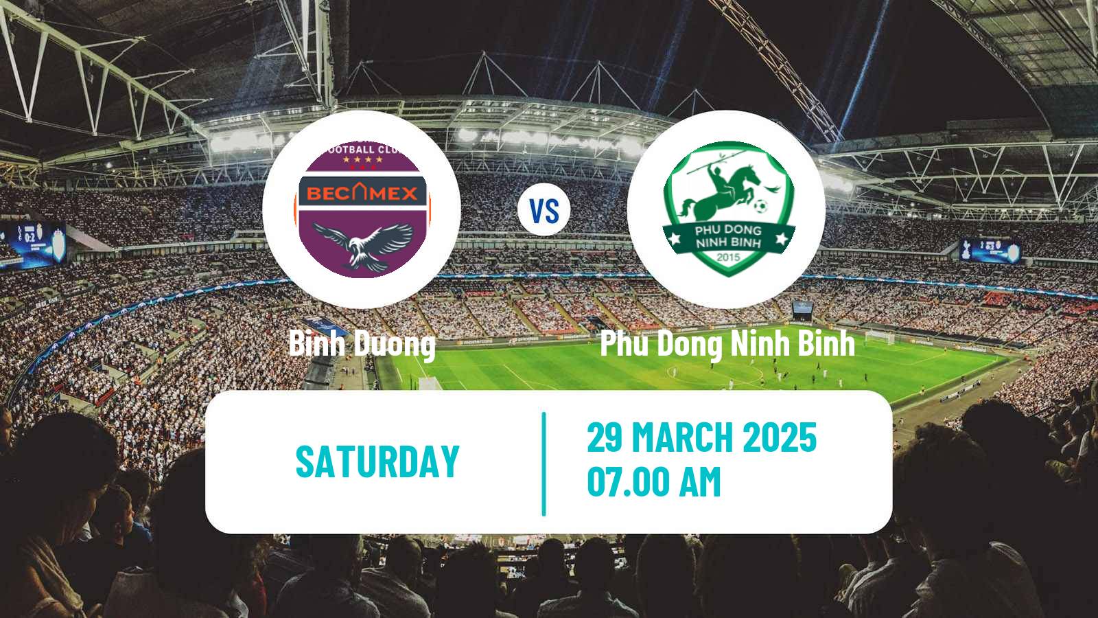 Soccer Vietnamese Cup Binh Duong - Phu Dong Ninh Binh