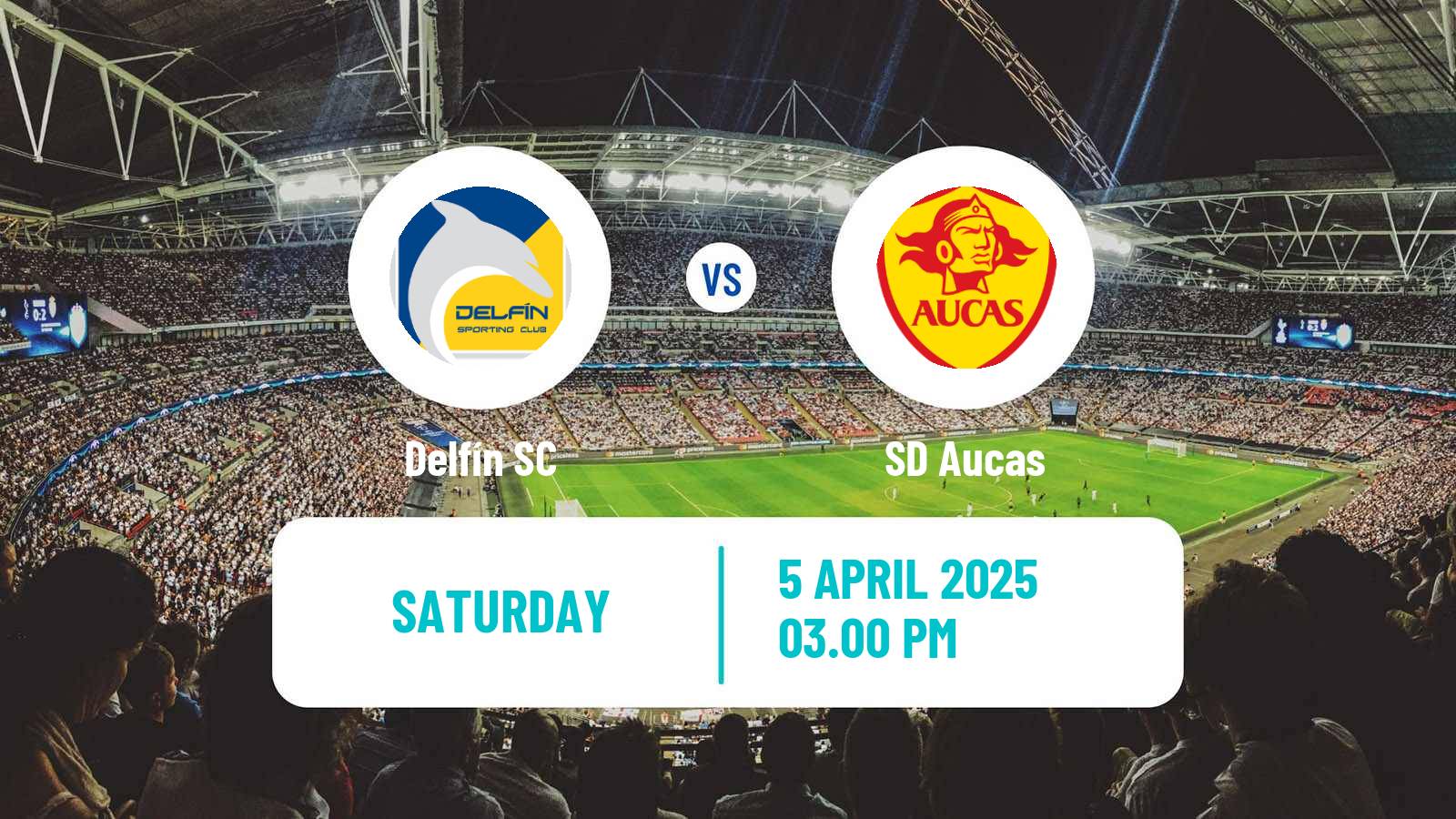 Soccer Ecuadorian Liga Pro Delfín - SD Aucas