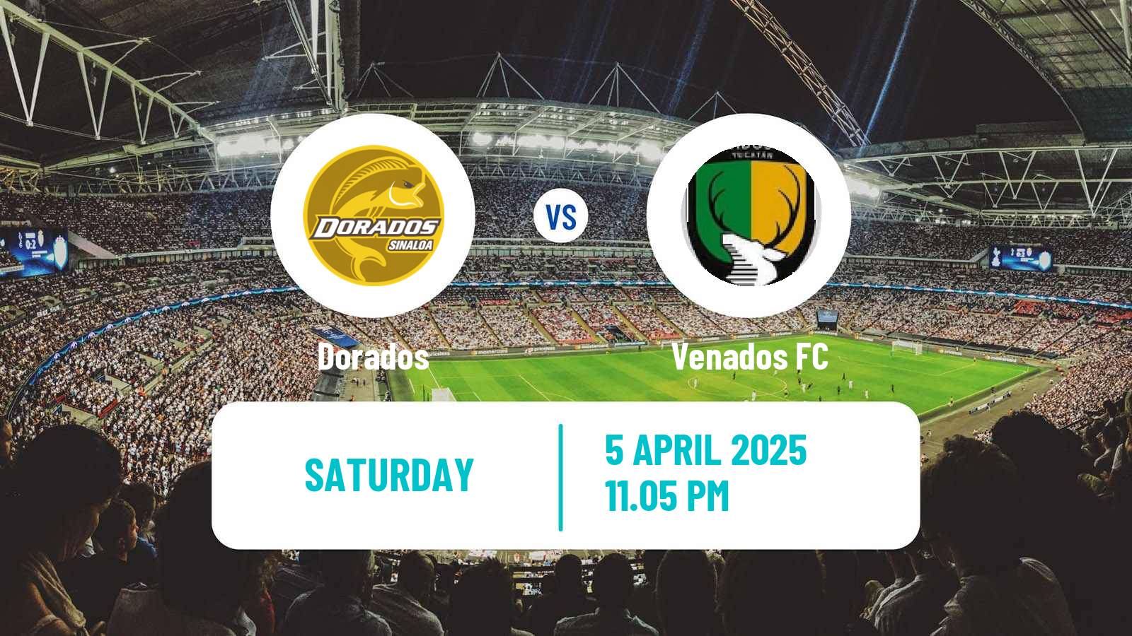 Soccer Mexican Liga de Expansion MX Dorados - Venados