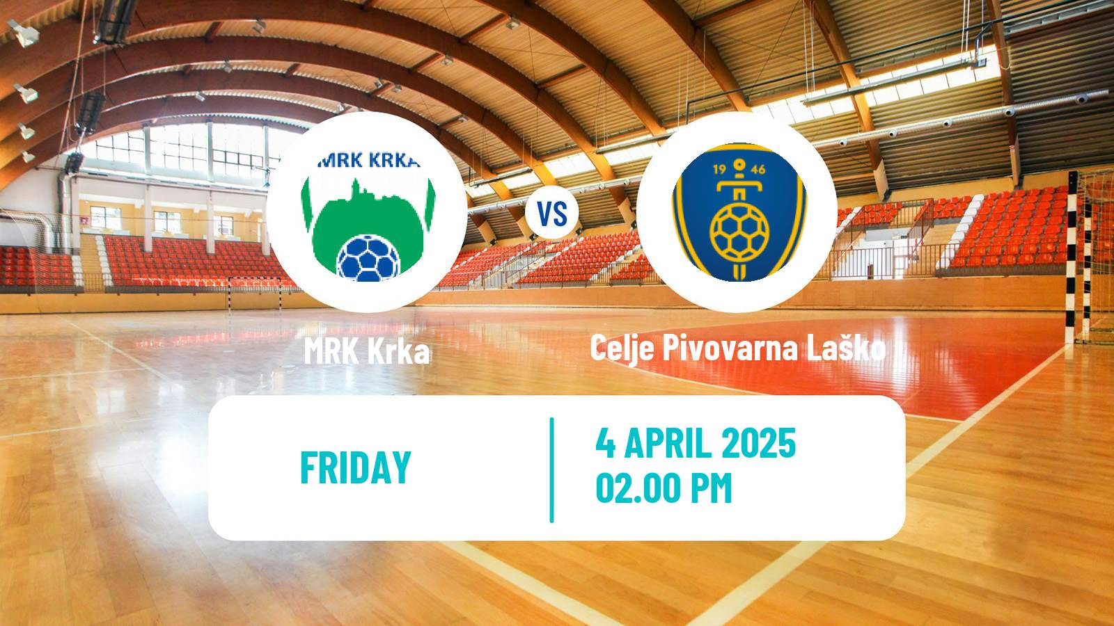Handball Slovenian Cup Handball Krka - Celje Pivovarna Laško