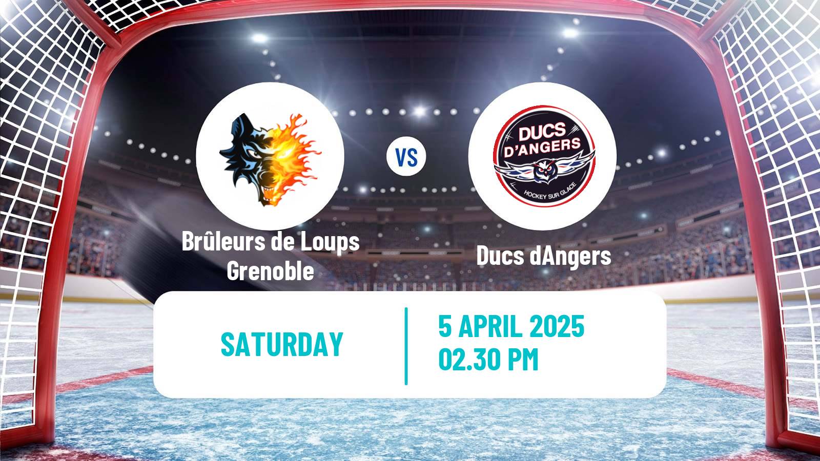 Hockey French Ligue Magnus Brûleurs de Loups Grenoble - Angers
