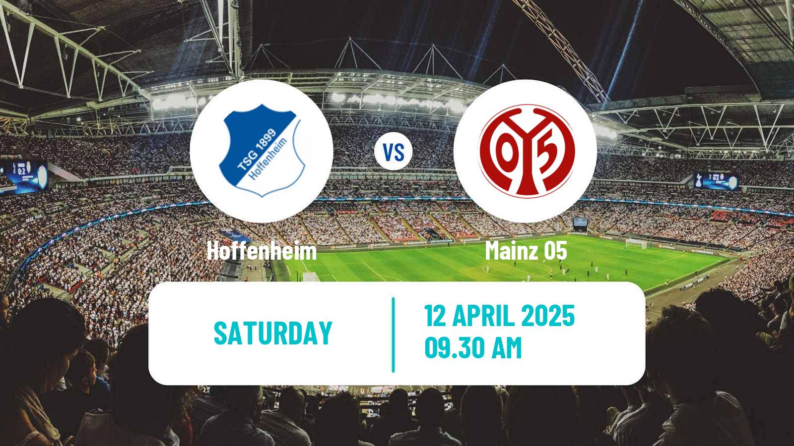 Soccer German Bundesliga Hoffenheim - Mainz