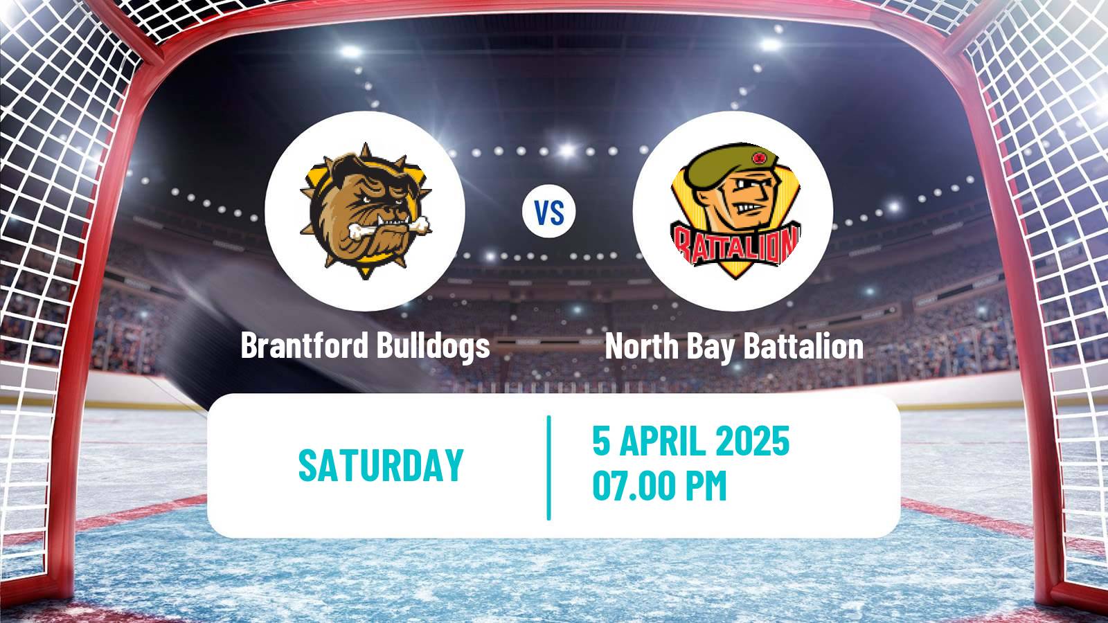 Hockey OHL Brantford Bulldogs - North Bay Battalion