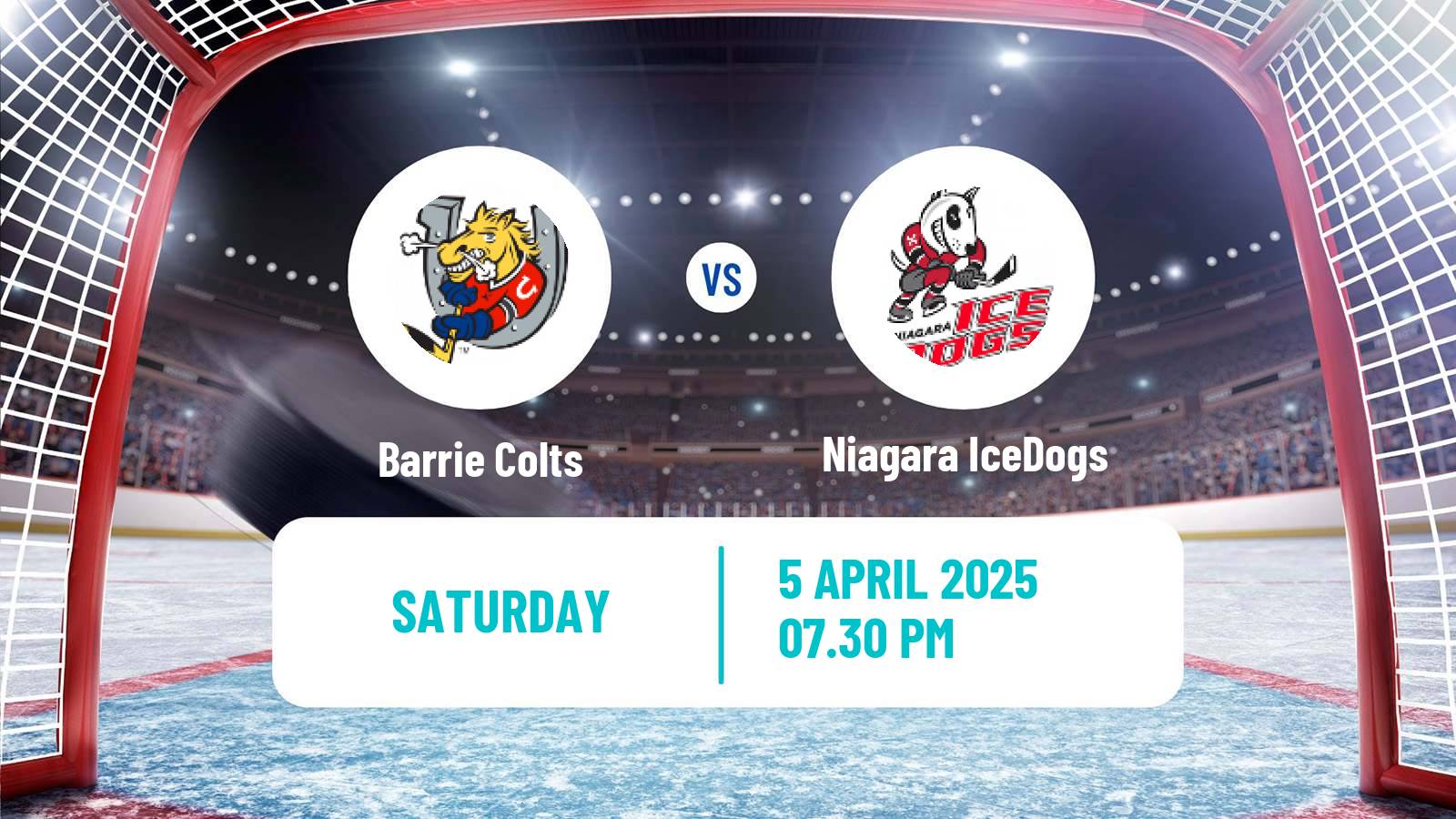 Hockey OHL Barrie Colts - Niagara IceDogs