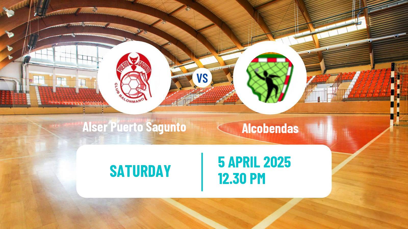 Handball Spanish Division de Honor Plata Handball Alser Puerto Sagunto - Alcobendas