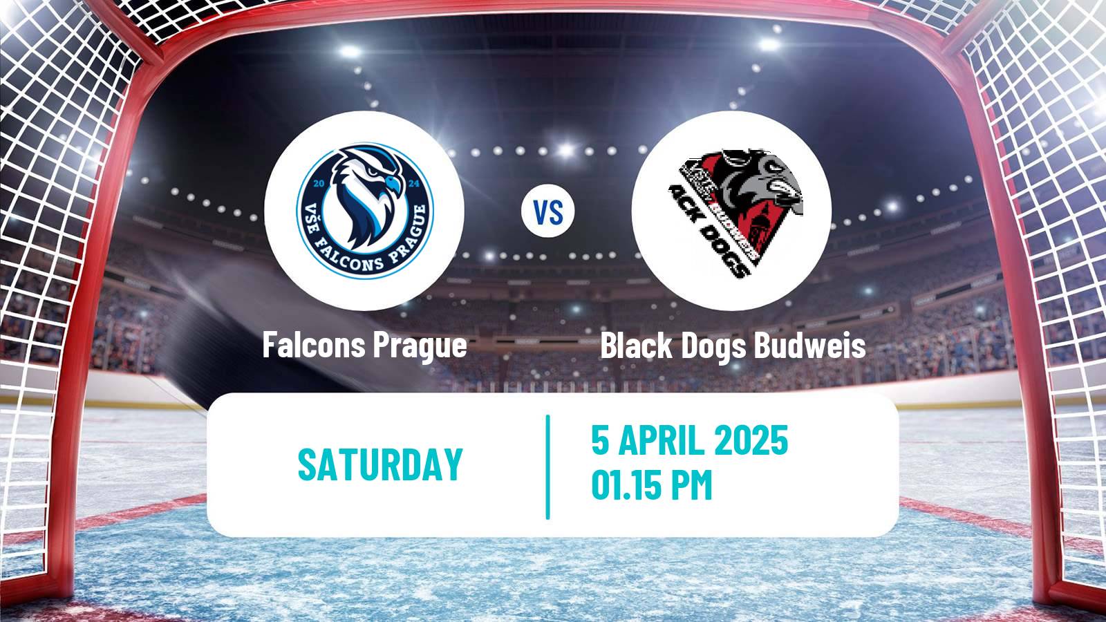 Hockey Czech ULLH Falcons Prague - Black Dogs Budweis