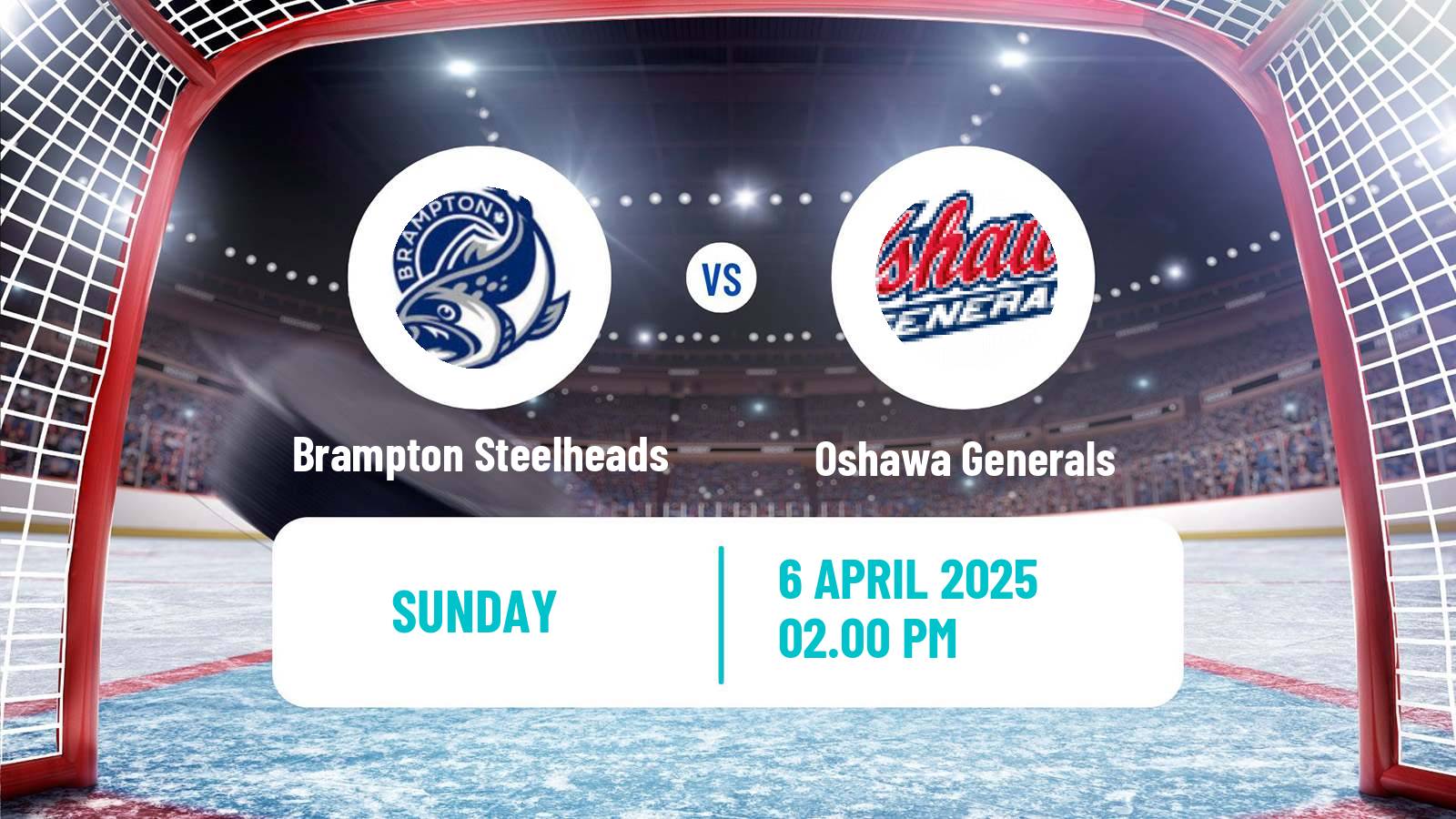 Hockey OHL Brampton Steelheads - Oshawa Generals