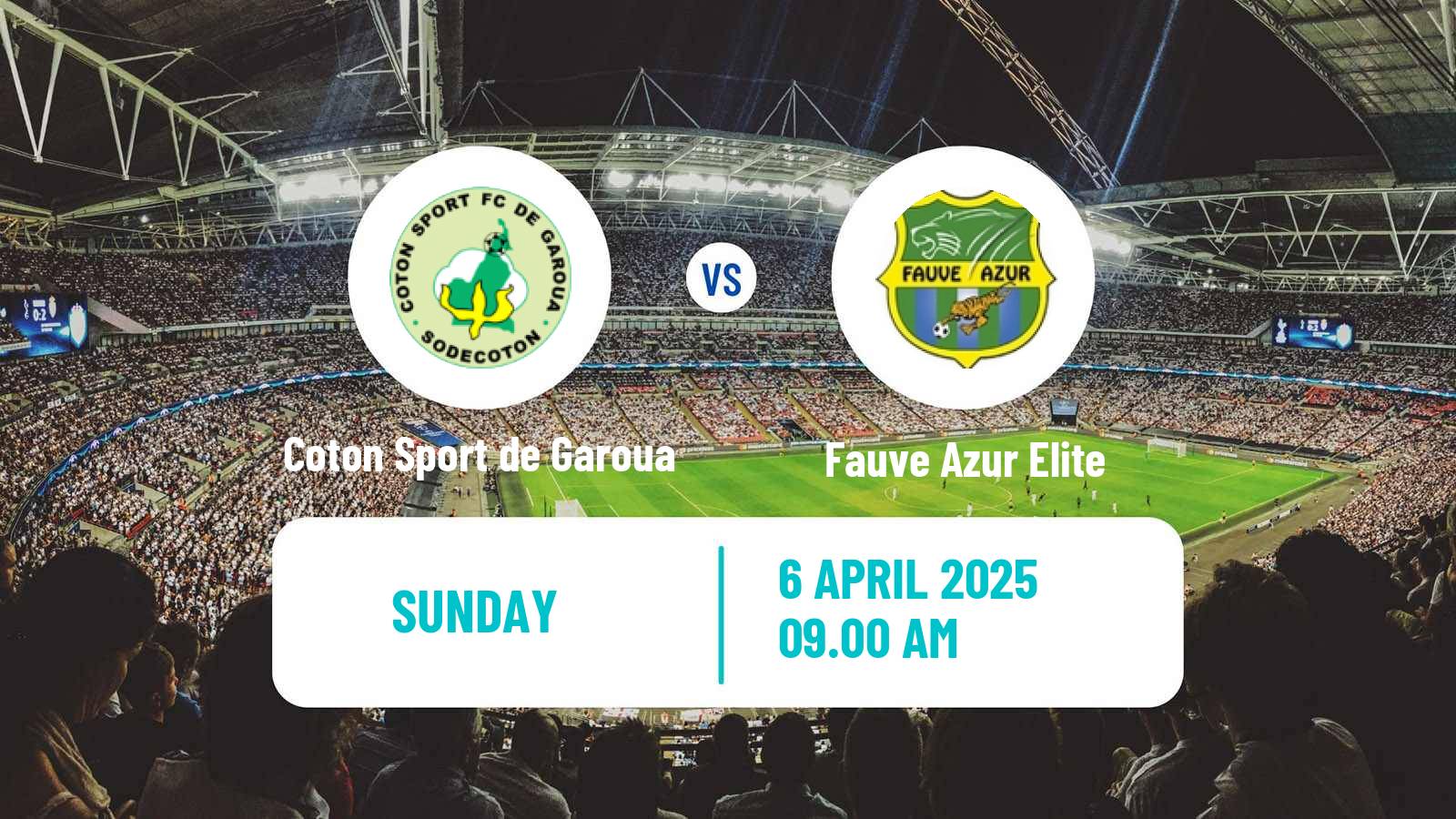 Soccer Cameroon Elite One Coton Sport de Garoua - Fauve Azur Elite