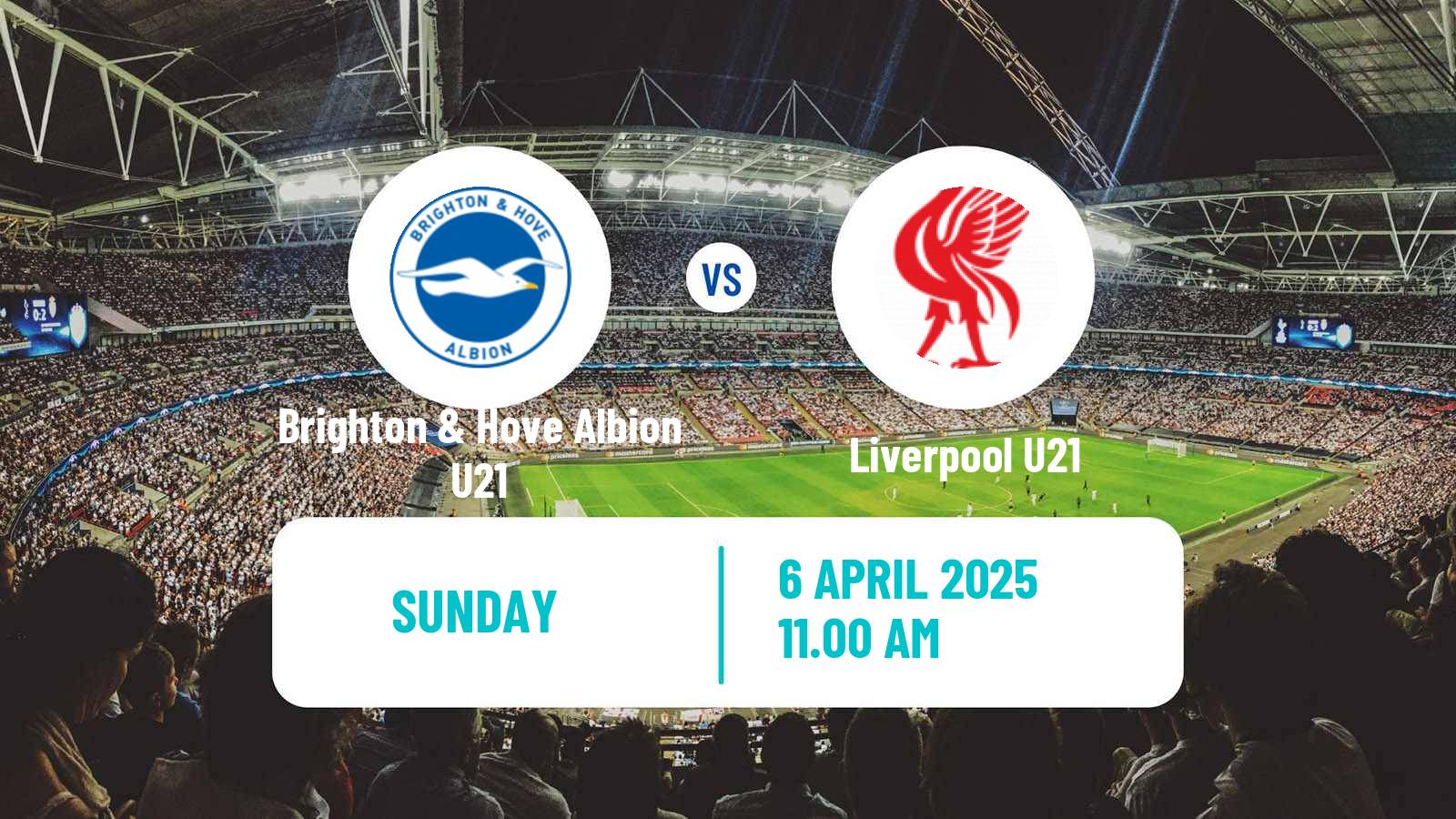 Soccer English Premier League 2 Brighton & Hove Albion U21 - Liverpool U21