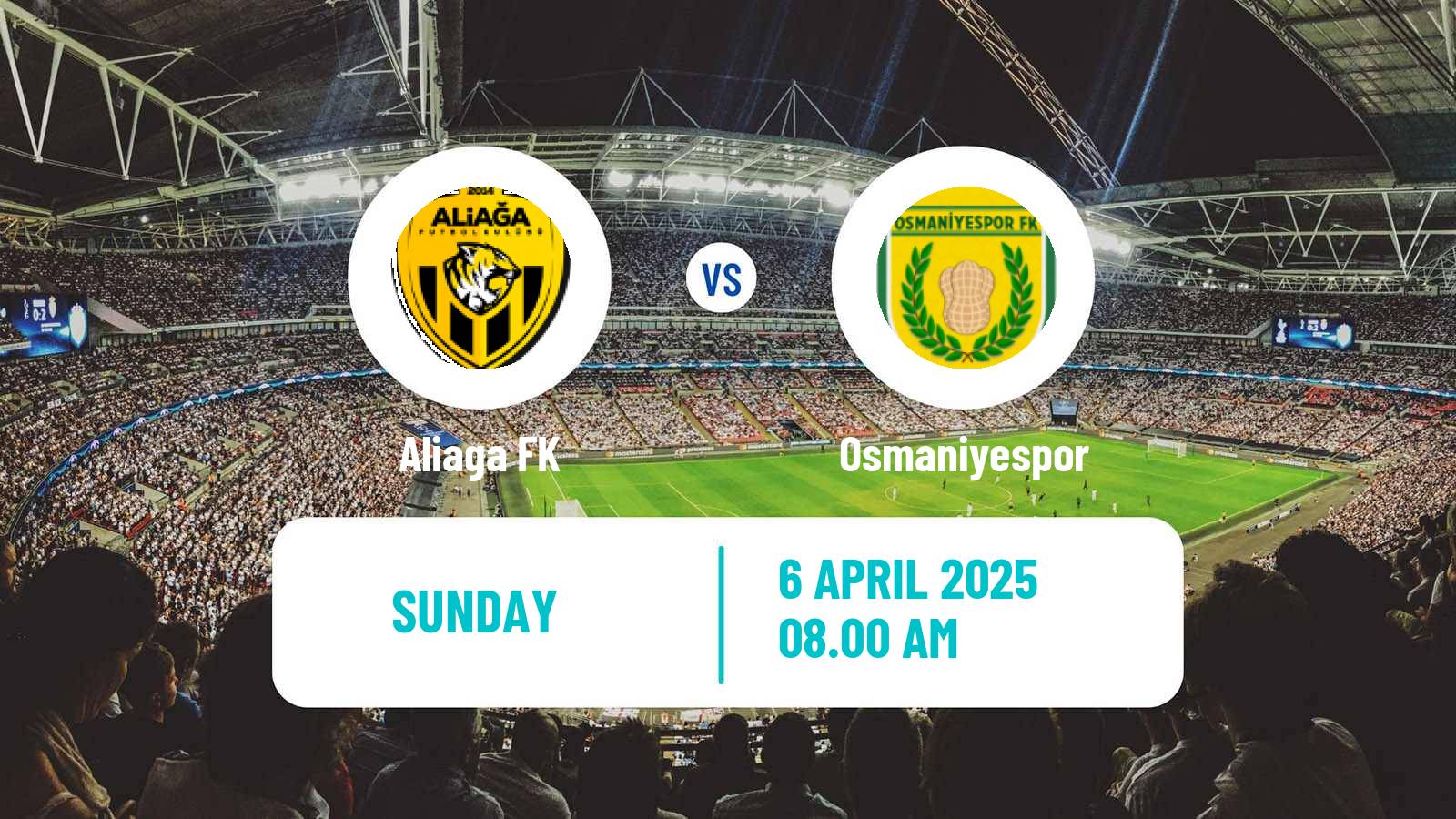 Soccer Turkish 3 Lig Group 3 Aliaga - Osmaniyespor