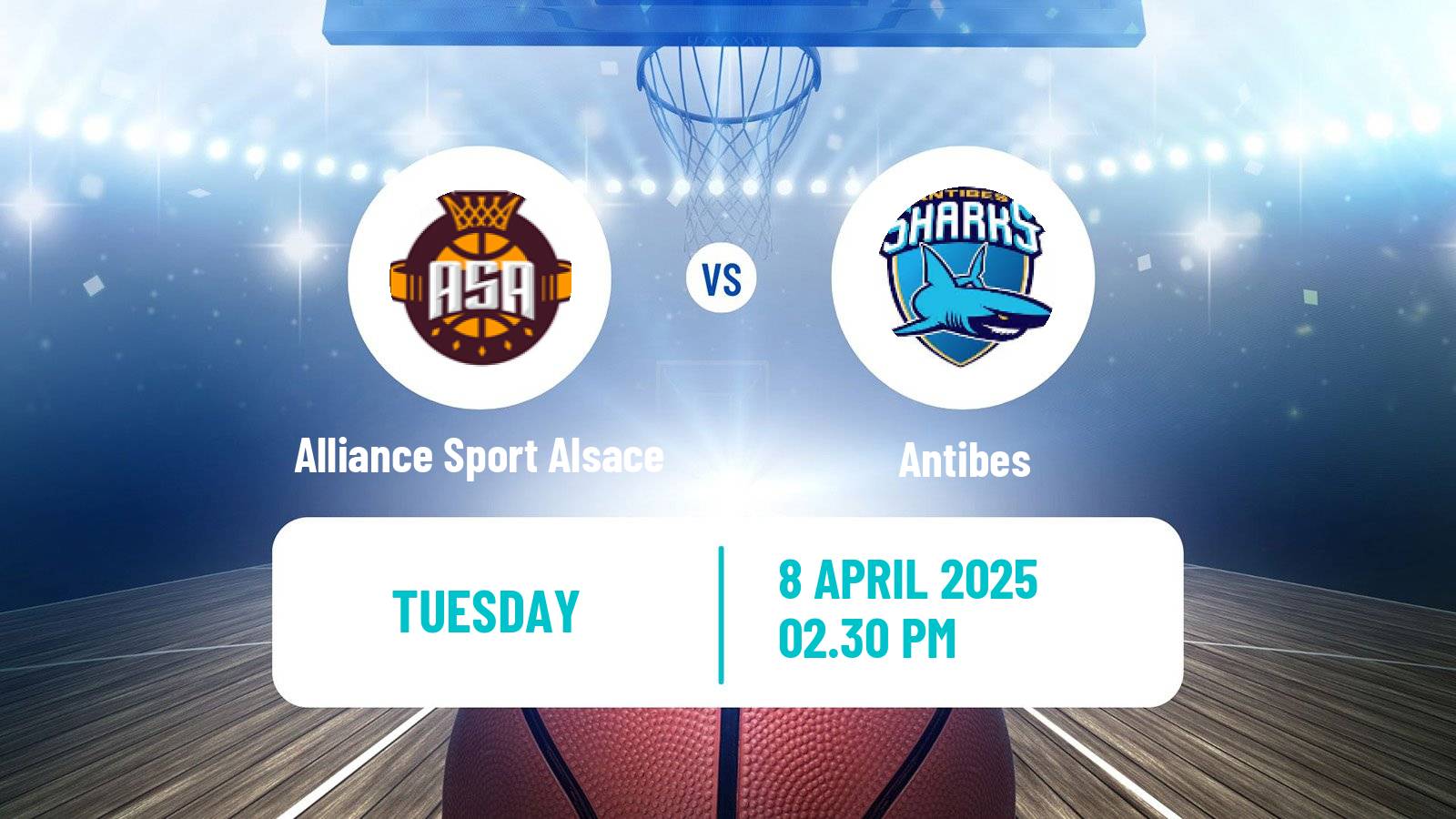 Basketball French LNB Pro B Alliance Sport Alsace - Antibes