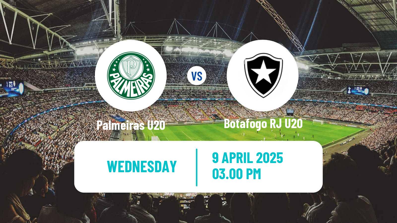 Soccer Brasileiro U20 Palmeiras U20 - Botafogo RJ U20