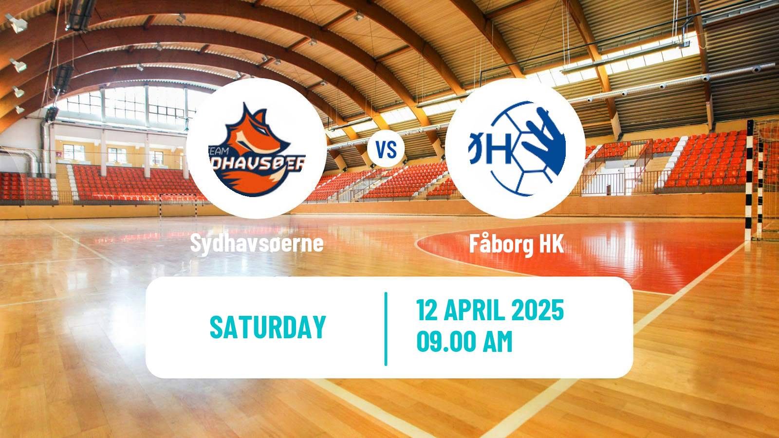 Handball Danish 1 Division Handball Sydhavsøerne - Fåborg