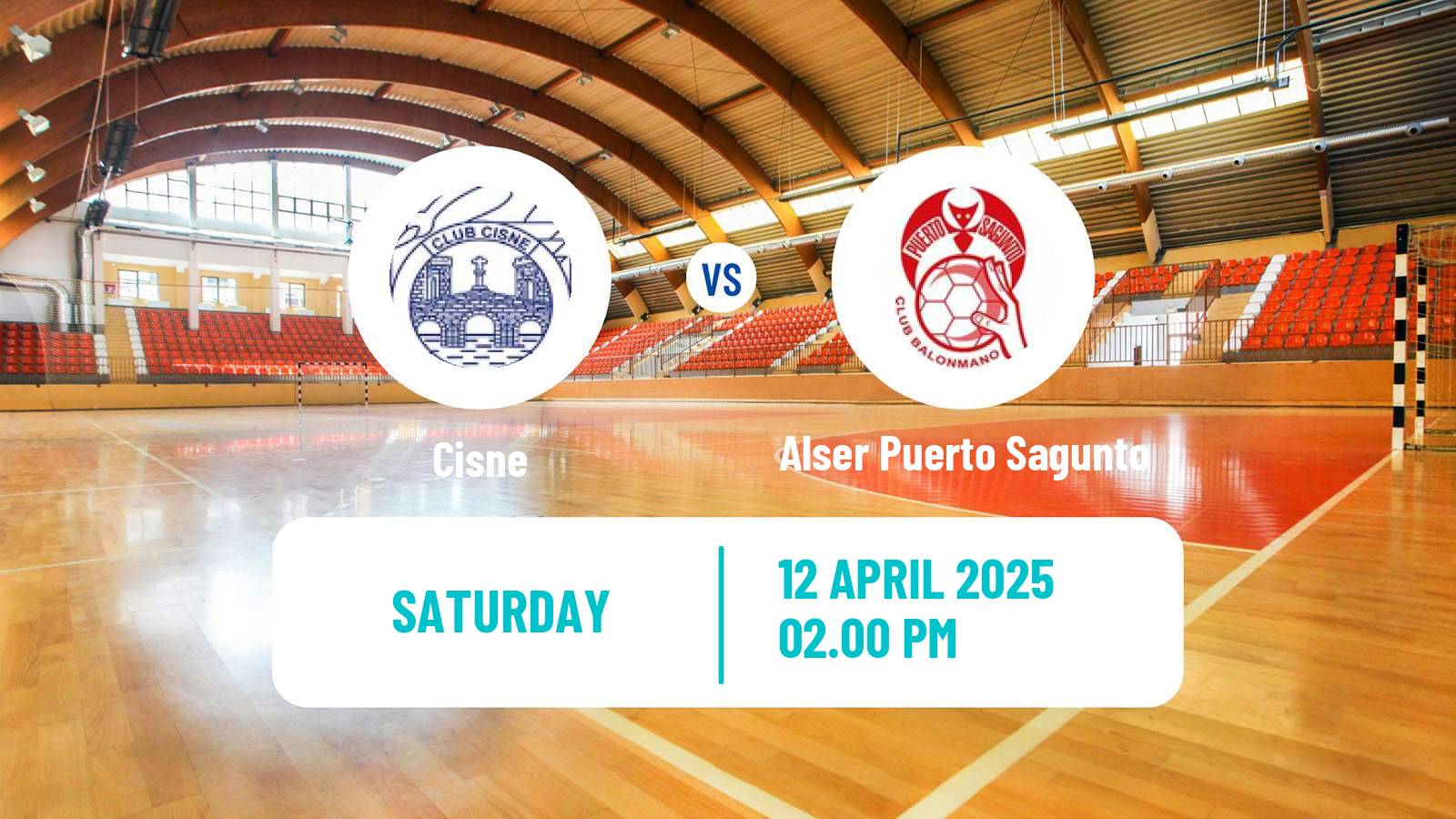 Handball Spanish Division de Honor Plata Handball Cisne - Alser Puerto Sagunto