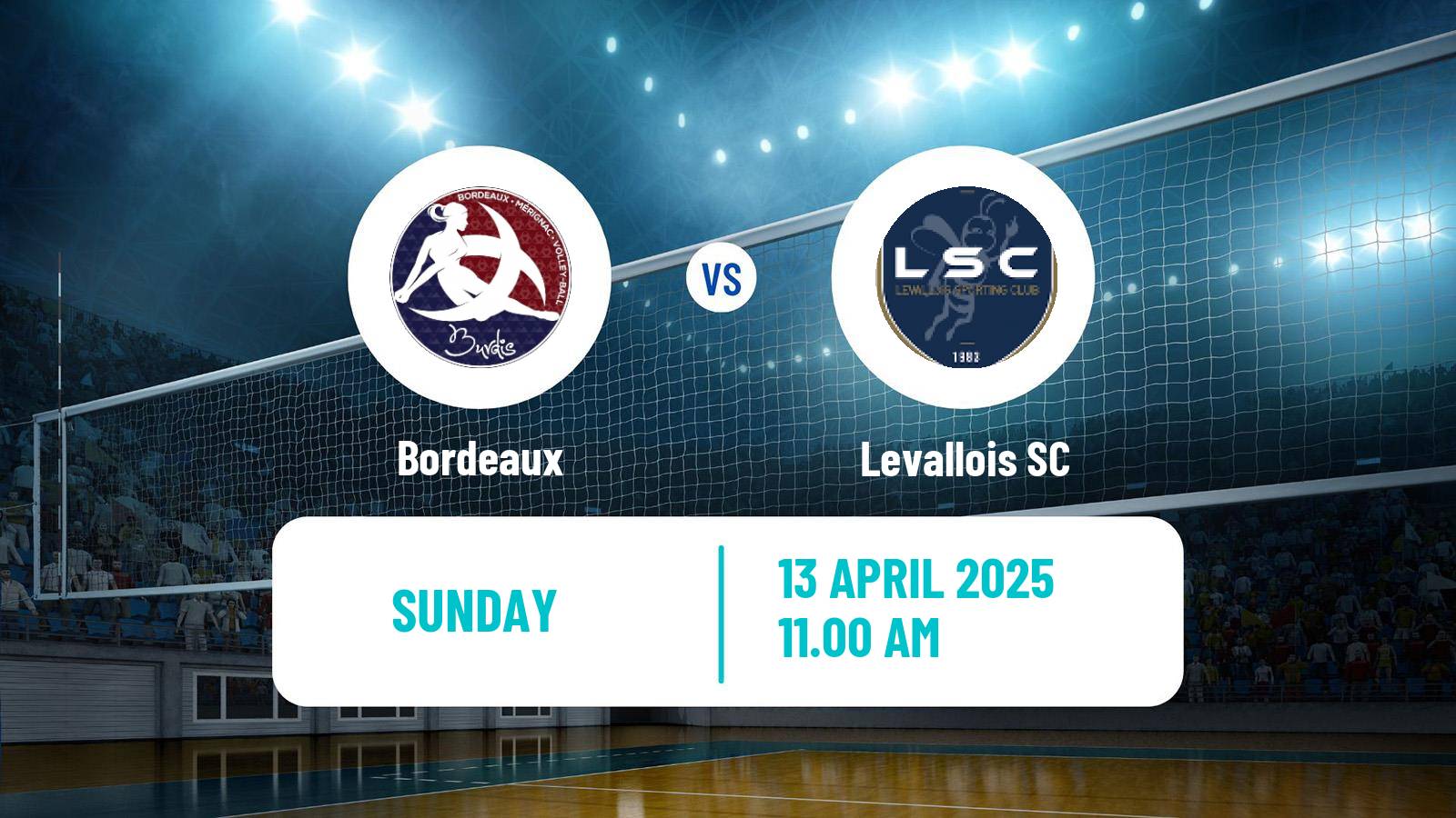 Volleyball French Ligue A Volleyball Women Bordeaux - Levallois