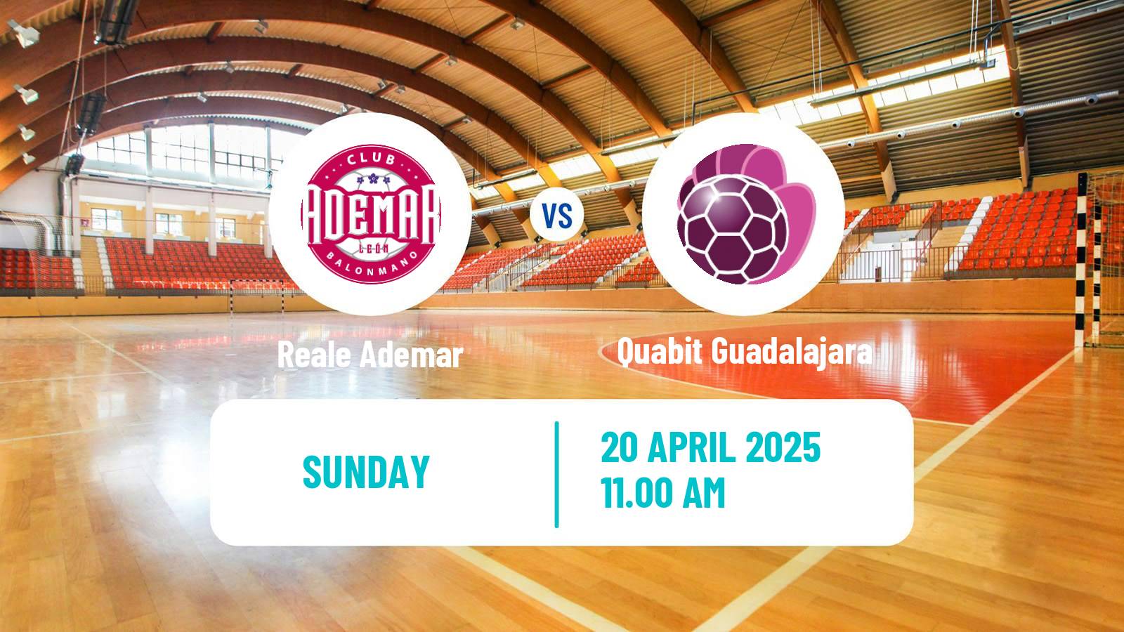 Handball Spanish Liga ASOBAL Reale Ademar - Quabit Guadalajara
