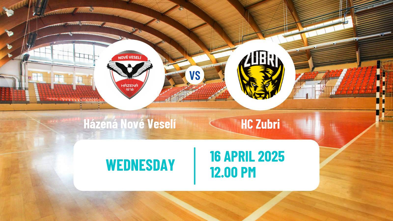 Handball Czech Extraliga Handball Házená Nové Veselí - Zubri
