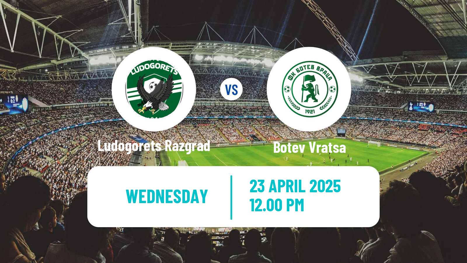 Soccer Bulgarian Cup Ludogorets Razgrad - Botev Vratsa