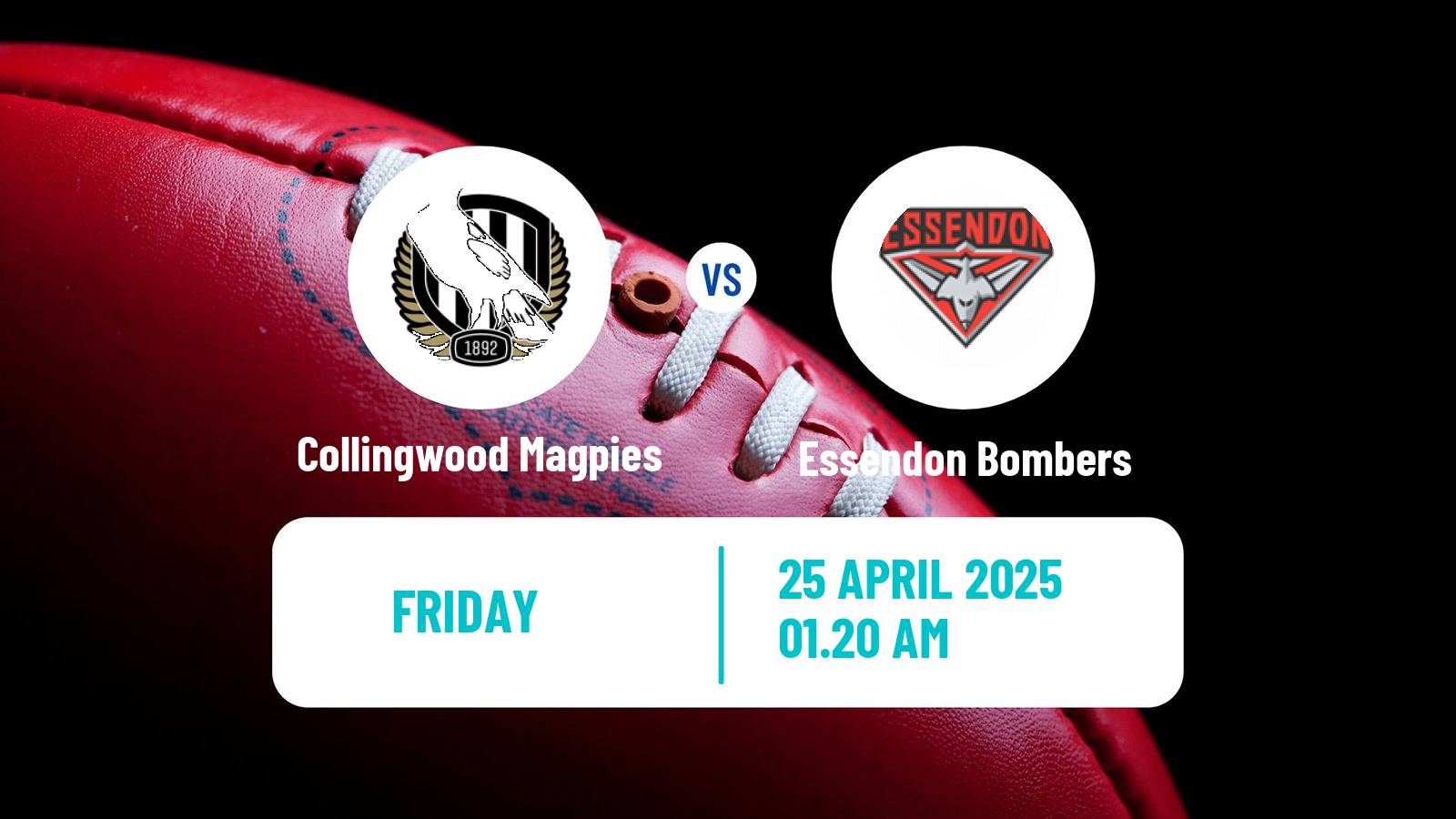 Aussie rules AFL Collingwood Magpies - Essendon Bombers