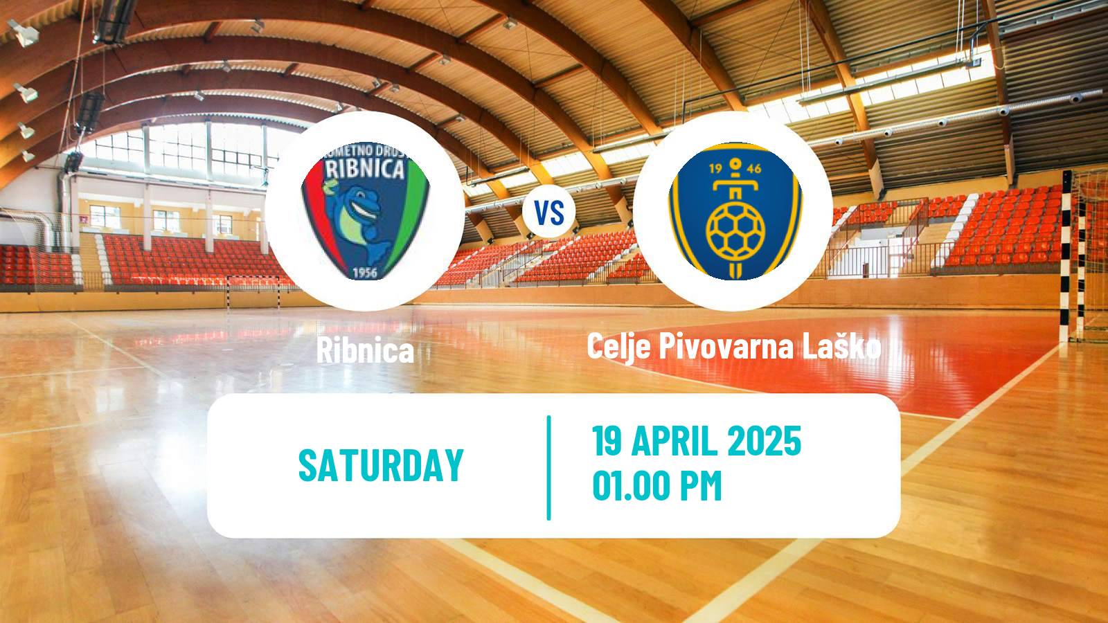 Handball Slovenian 1 NLB Liga Handball Ribnica - Celje Pivovarna Laško