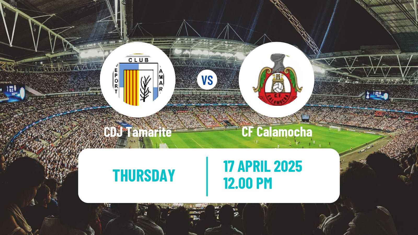 Soccer Spanish Tercera RFEF - Group 17 Tamarite - Calamocha