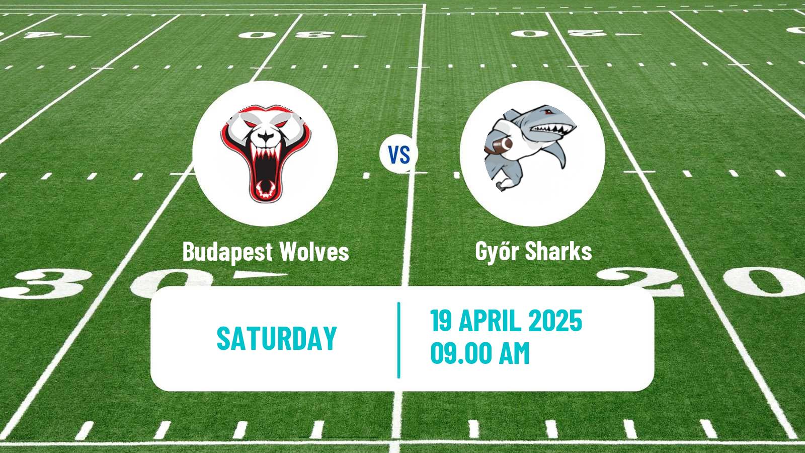 American football Hungarian HFL  American Football Budapest Wolves - Győr Sharks