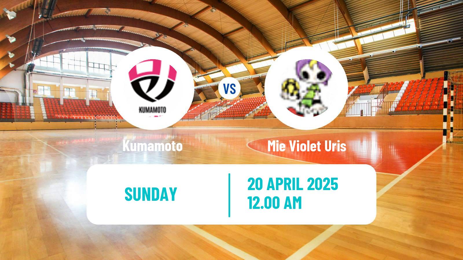 Handball Japan JHL Handball Women Kumamoto - Mie Violet Uris