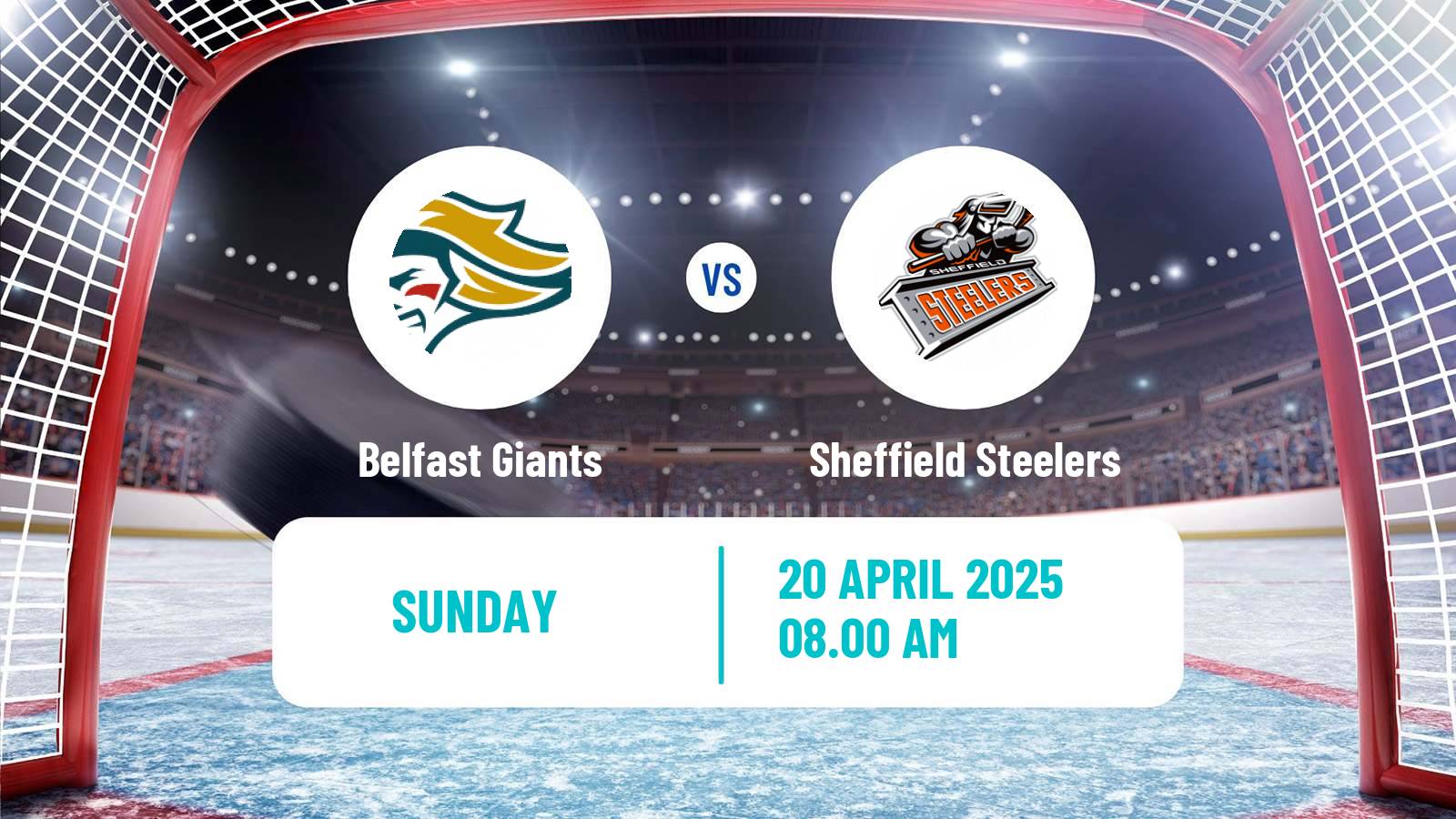 Hockey United Kingdom Elite League Belfast Giants - Sheffield Steelers