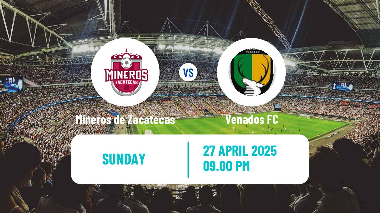 Soccer Mexican Liga de Expansion MX Mineros de Zacatecas - Venados